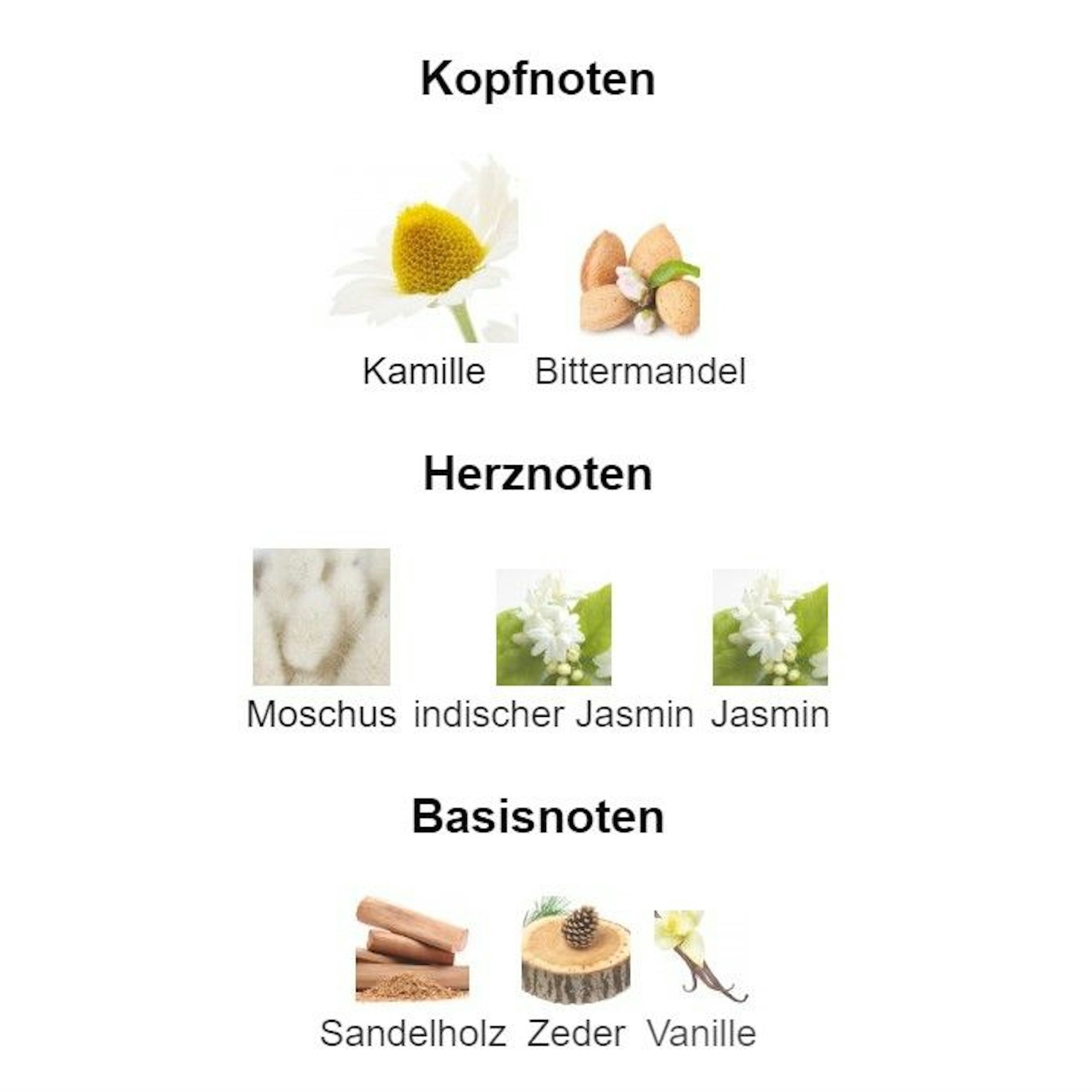 Bei Fragrantica kann man richtig in die Tiefen gehen. Hier die Aufschlüsselung der Kopf-, Herz- und Basisnoten des Parfums „Mémoire d’une Odeur“ von Gucci.