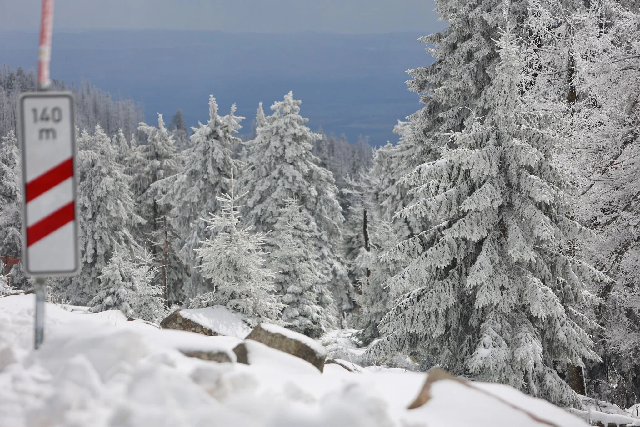 Schneebedeckt sind die Fichten auf dem Brocken. Eine Kaltwetterfront brachte in den höheren Lagen viel Schnee.  