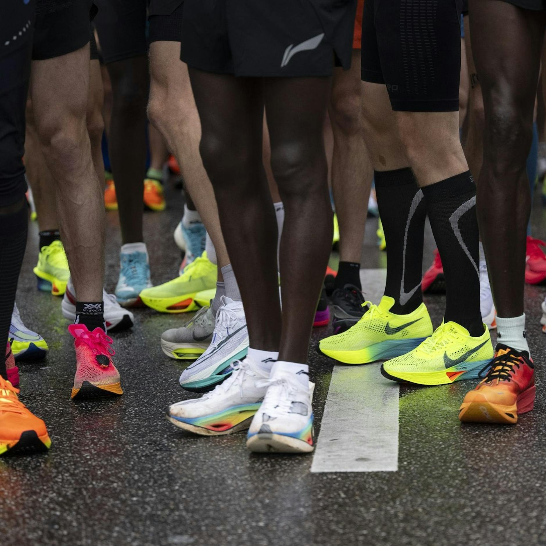 Image - Bilder des Tages