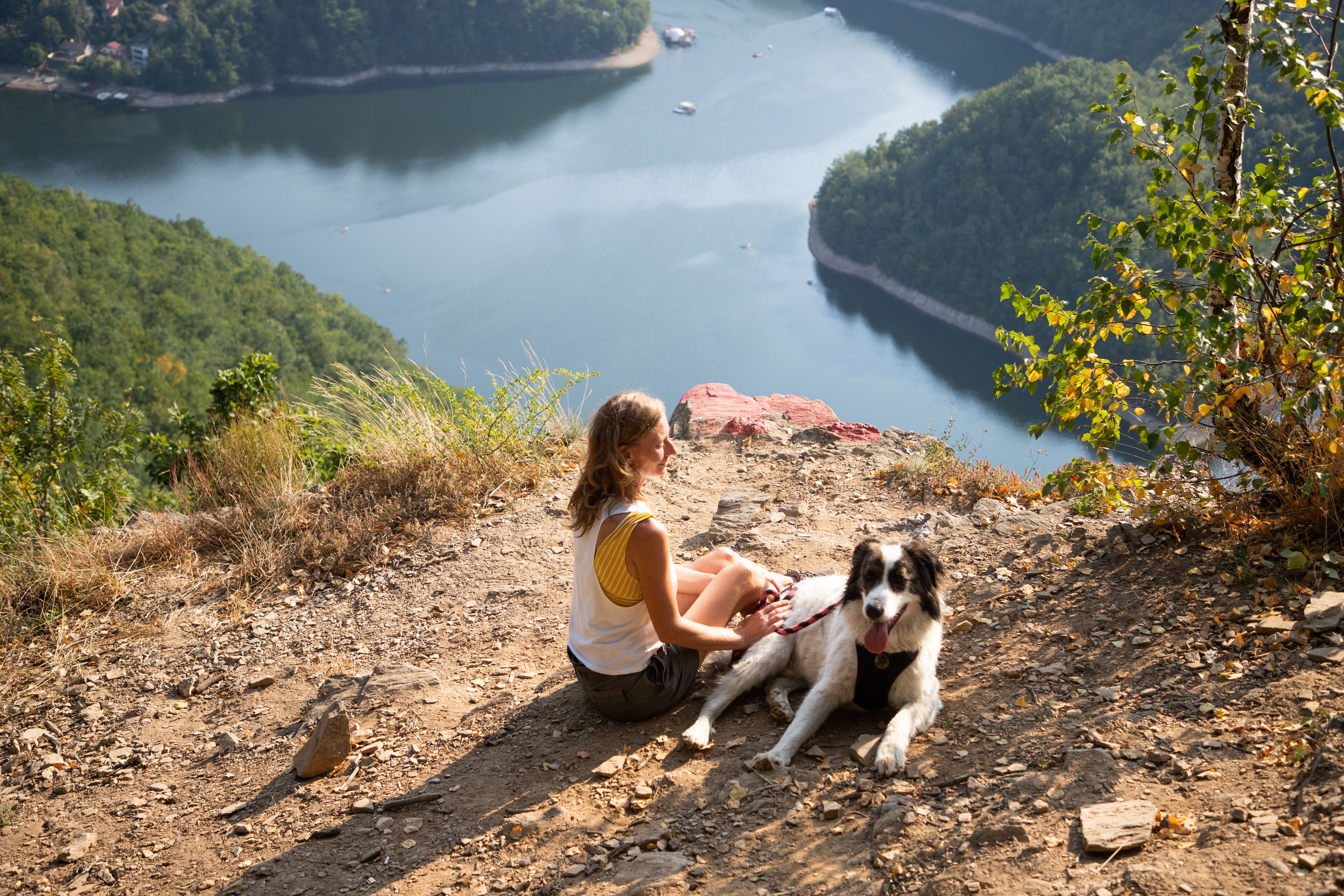 Das große Horoskop für das Sternzeichen Schütze im Mai 2024