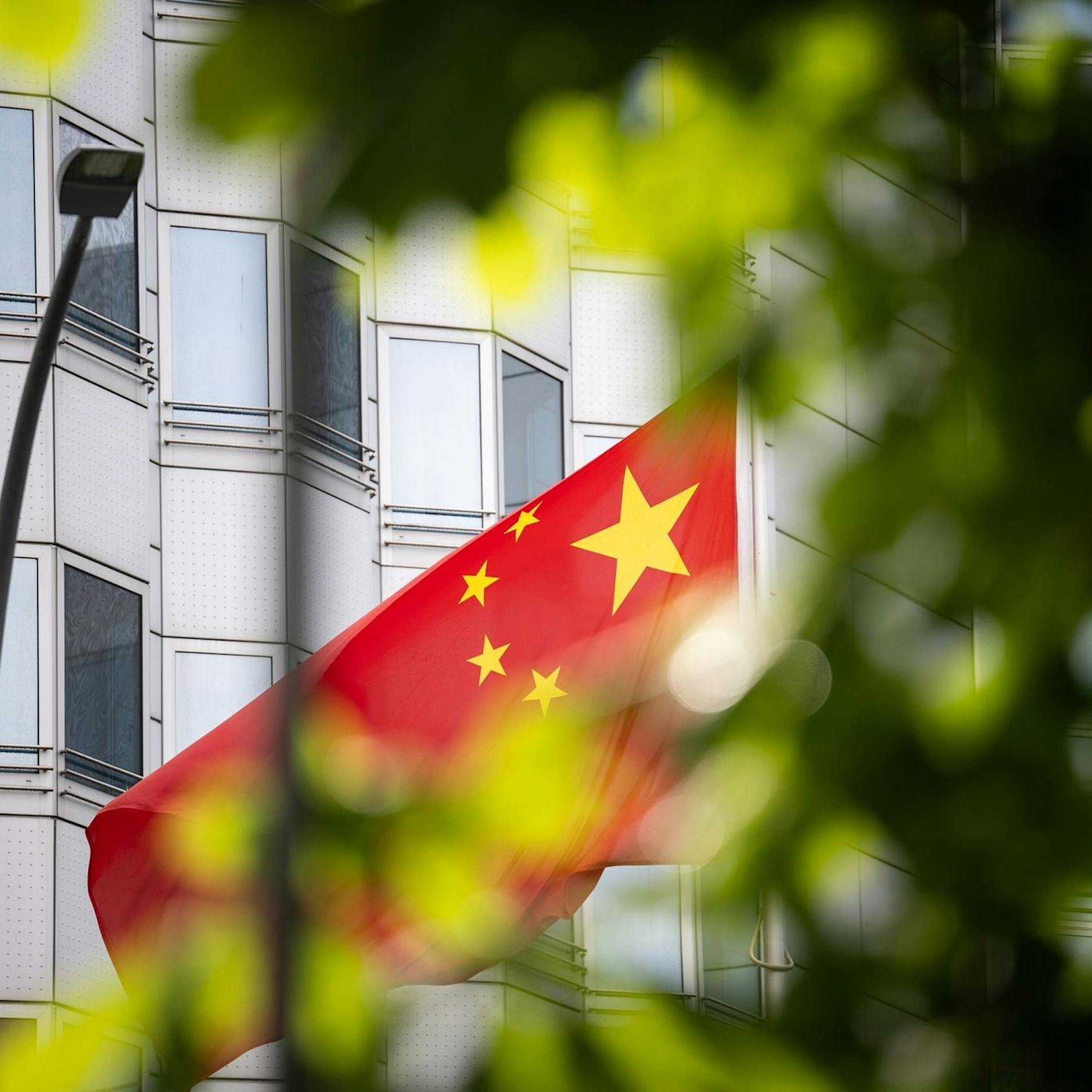 Holzauge, sei wachsam! Mit der Zeitenwende sind Feinde zurück