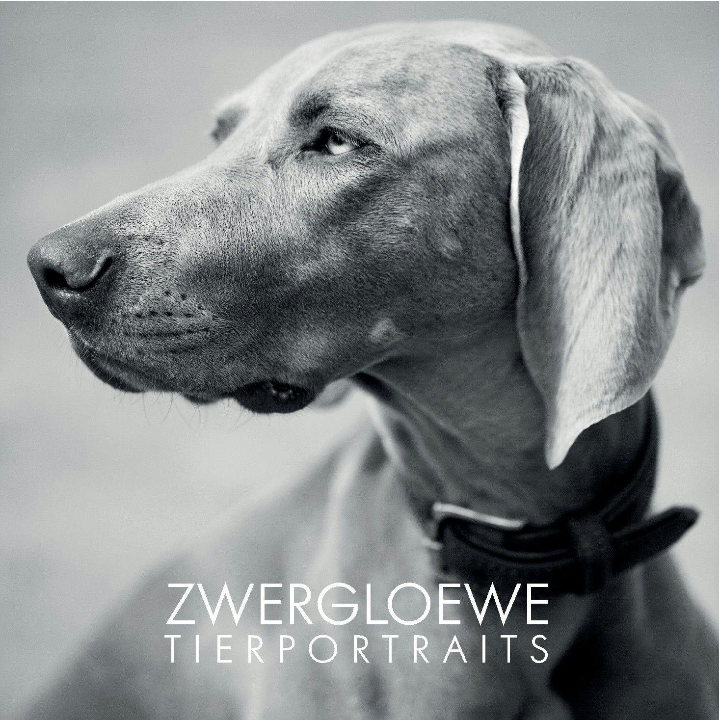Stylische, professionelle Tierporträts gibt es bei unserem Sponsor Zwergloewe.