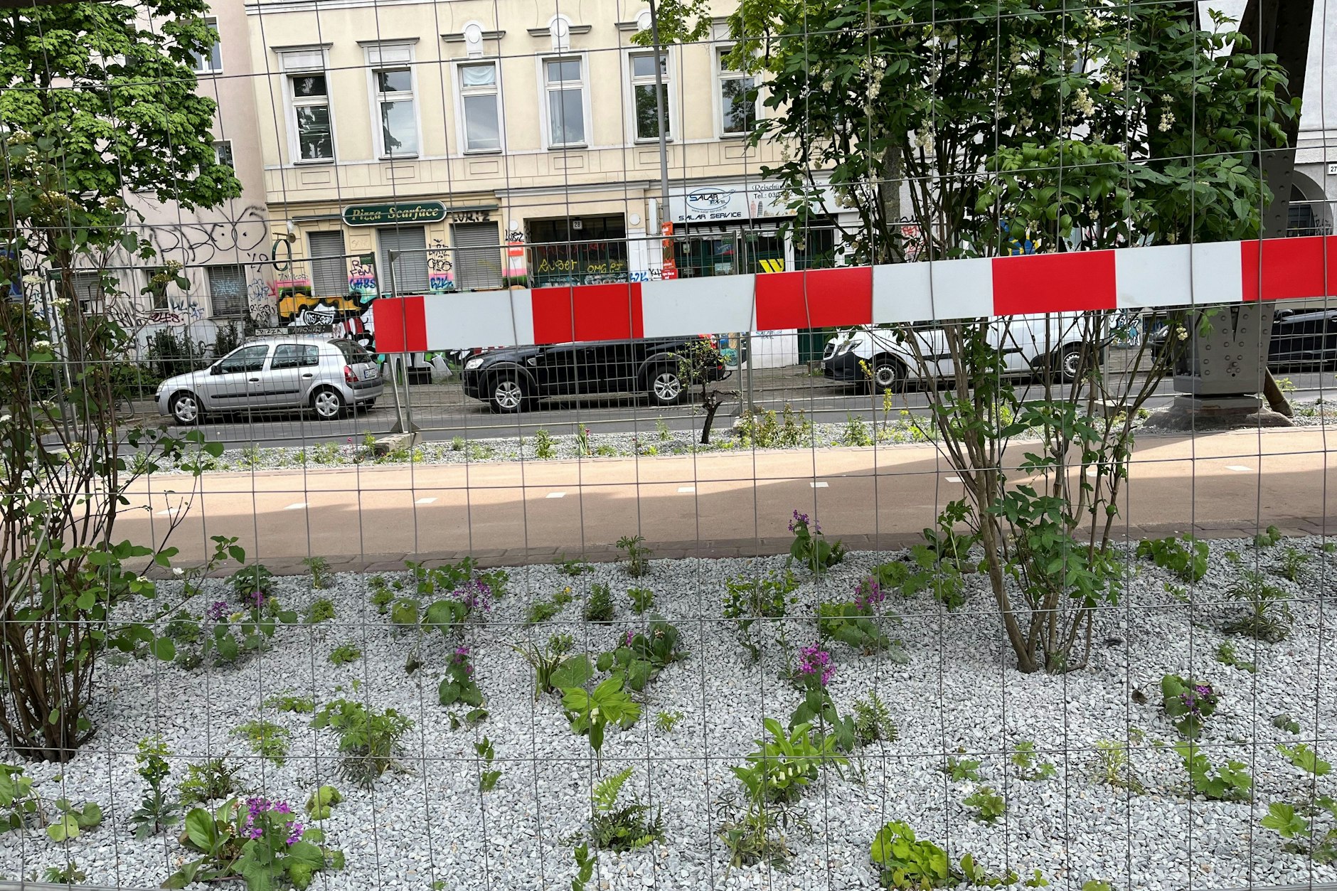 Fragile Idylle in Kreuzberg: Die Seitenstreifen links und rechts des neuen Radweges unter der Hochbahn an der Skalitzer Straße wurden entsiegelt und bepflanzt.  Der Bauzaun wird bald entfernt.