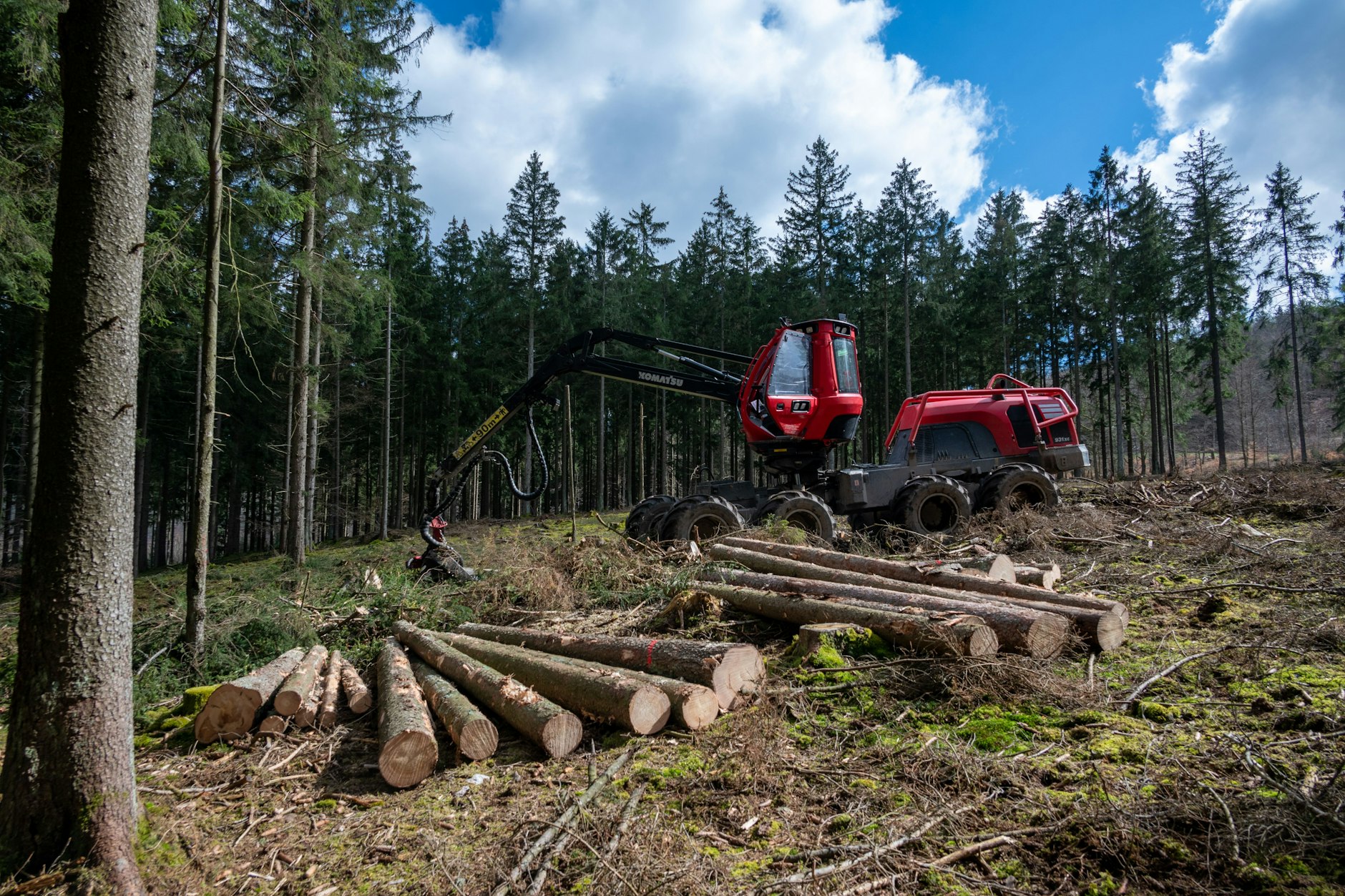 Ein Harvester hinterlässt tiefe Spuren im Wald. In Berliner Wäldern werden die Holzerntemaschinen nur noch selten eingesetzt. 