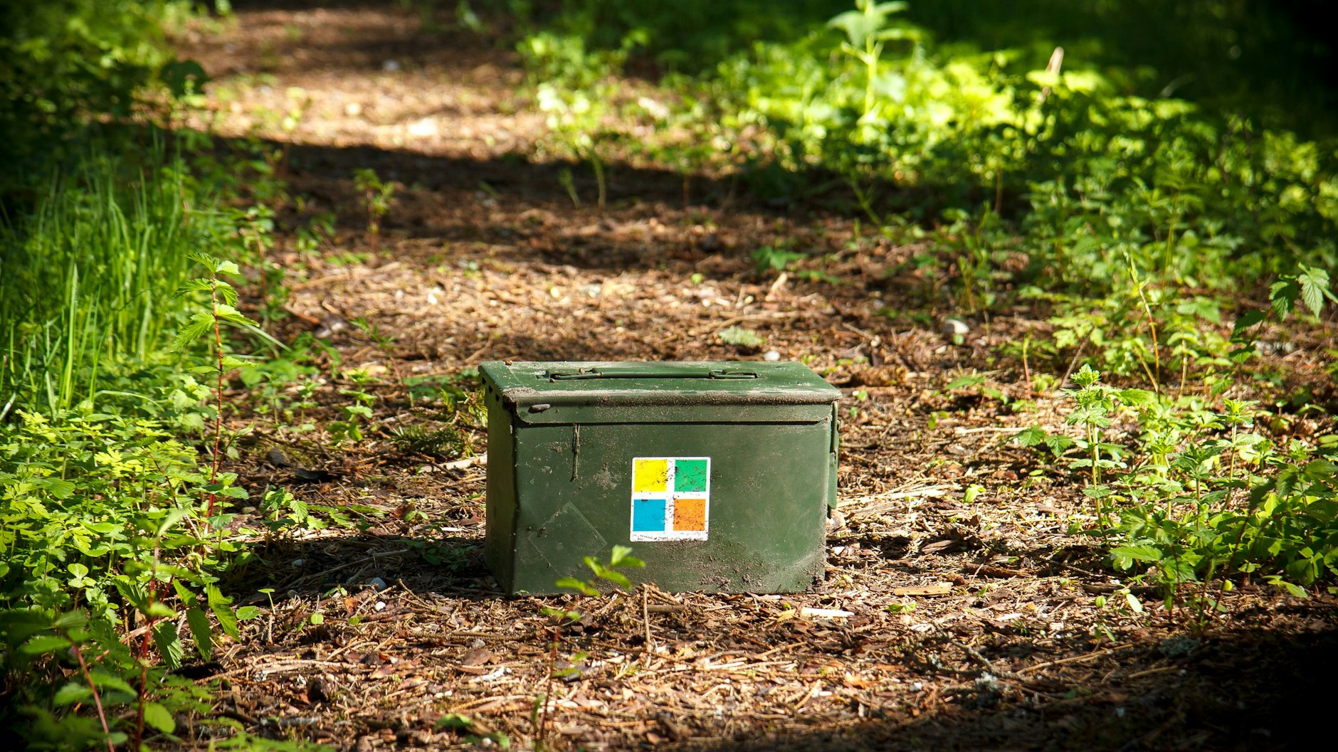 Beim Geocaching sucht man in Wald und Heide nach versteckten Behältern.
