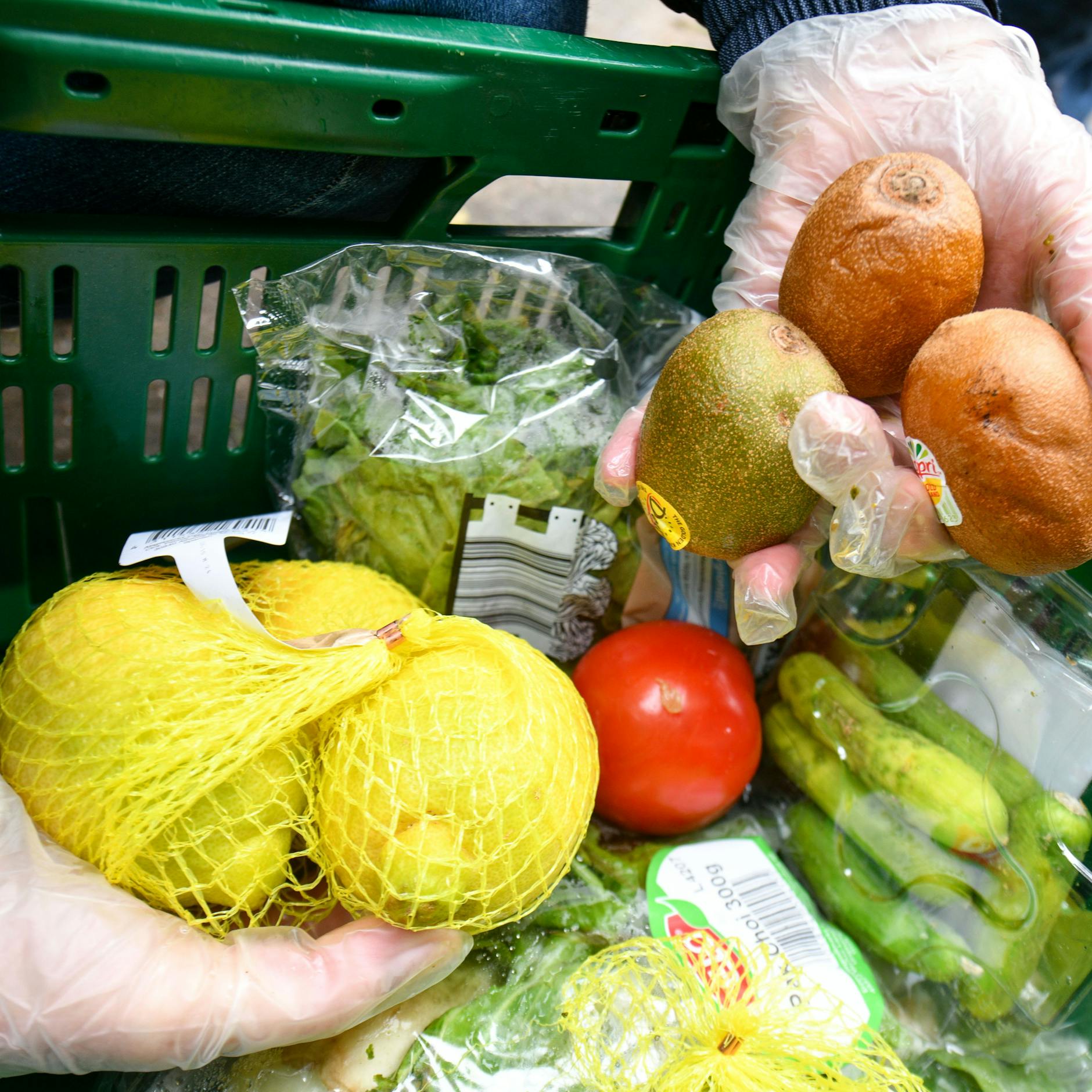 Image - Pankow: Neue Verteilstation gegen Verschwendung von Lebensmitteln