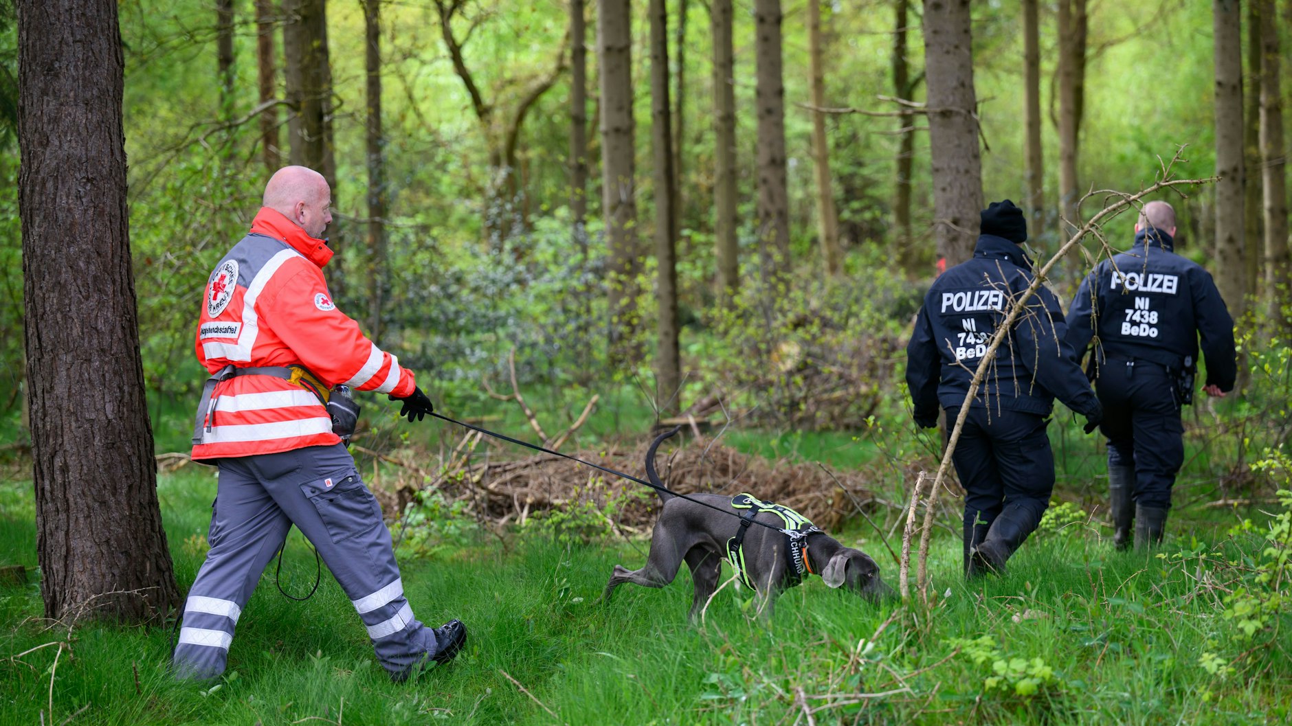 Einsatzkräfte des Deutschen Roten Kreuzes waren auch mit einem Suchhund in einem Waldstück im Einsatz, hofften, Arian noch lebend zu finden. Nun wurde eine Kinderleiche gefunden.