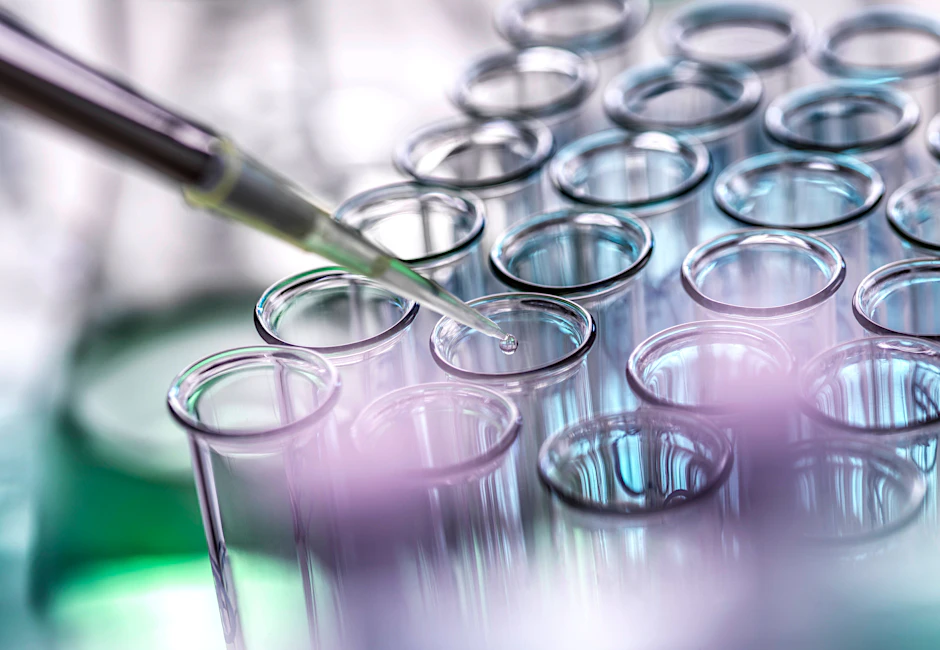 Die Ernst-Reuter-Gesellschaft der FU Berlin wurde im Rahmen der Research to Market Challenge für eine forschungsbasierte und nachhaltige Geschäftsidee ausgezeichnet. 
