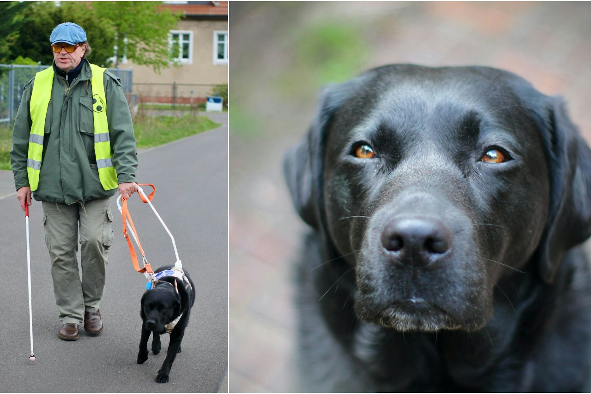 Labrador Xena führt ihr Herrchen Ulf Stutzky durchs Leben – er ist auf die Hündin angewiesen und muss ihr wortwörtlich blind vertrauen.