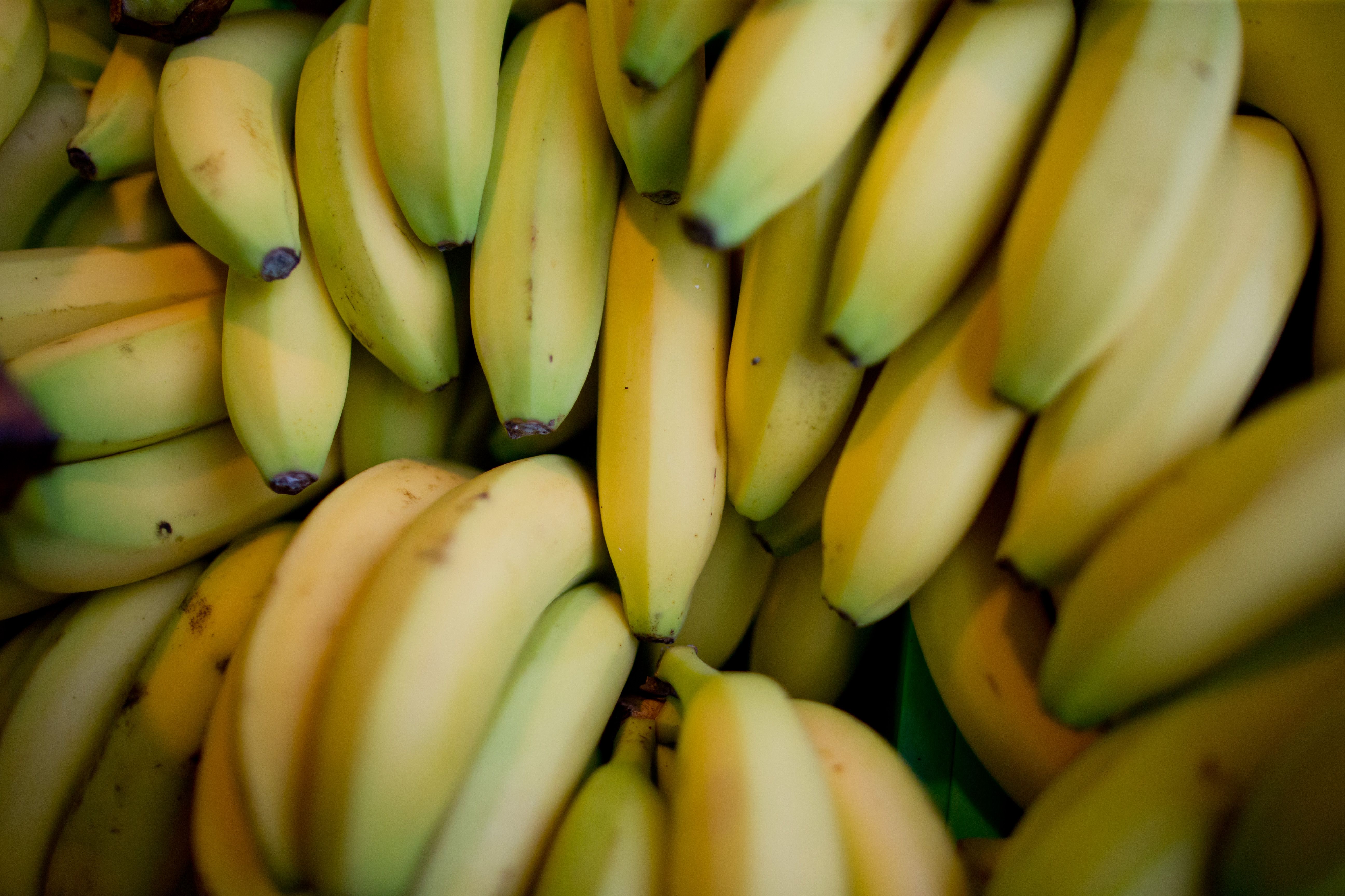 Image - Mega-Kokainfund in Bananenkisten im Supermarkt