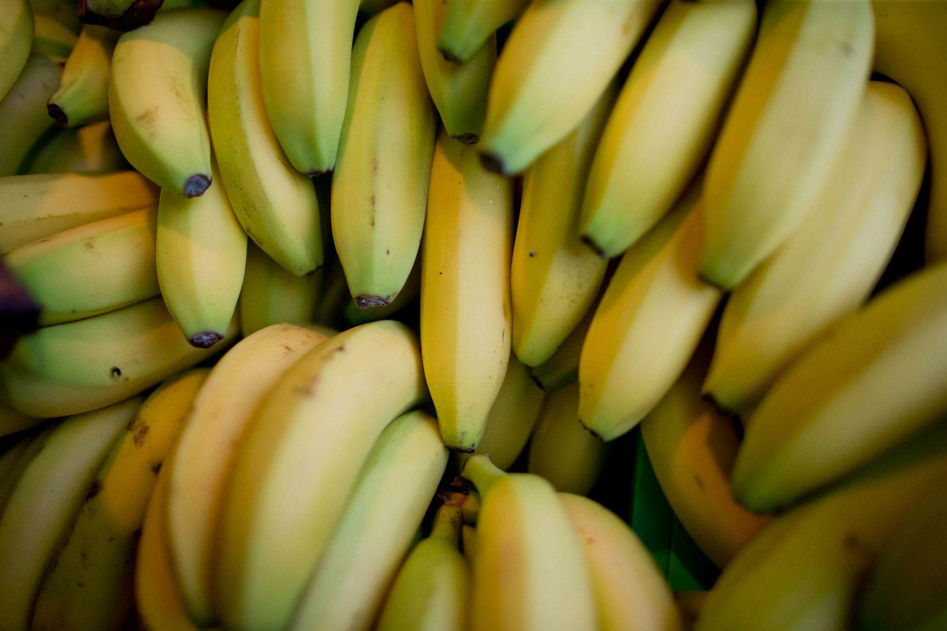 Spinnen tauchen in Bananenkisten auf, Drogen ebenso. Schon häufiger wurden die Kisten von Schmugglern benutzt.&nbsp;