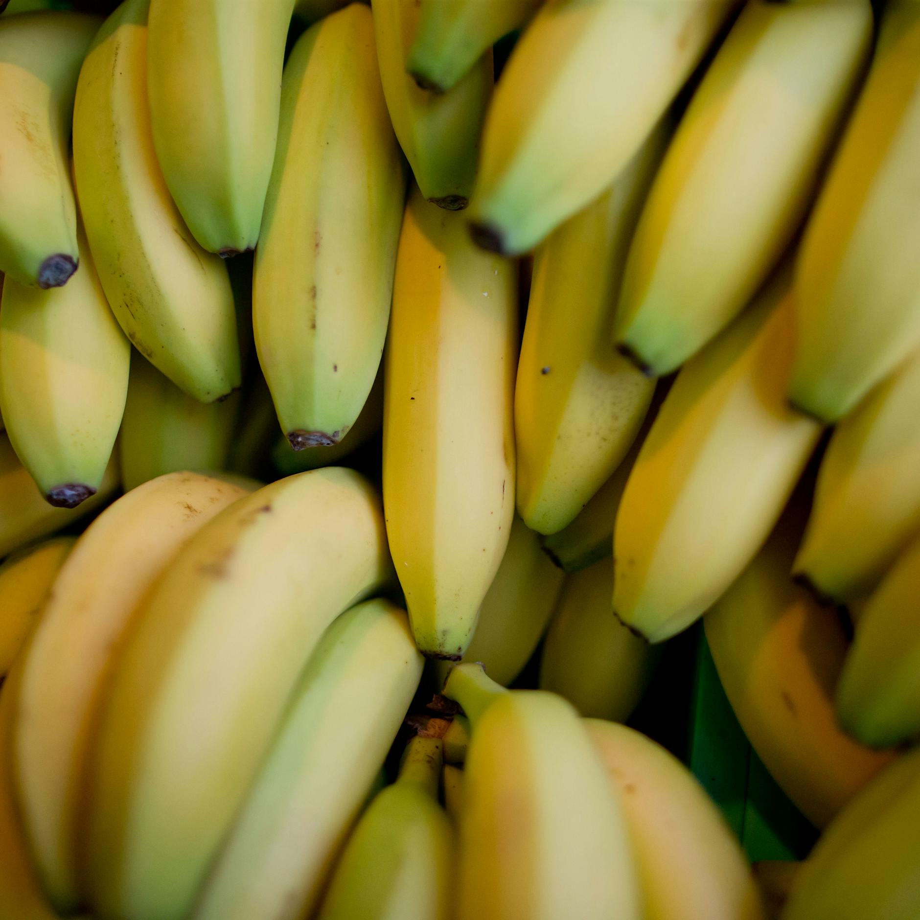 Mega-Kokainfund in Bananenkisten im Supermarkt