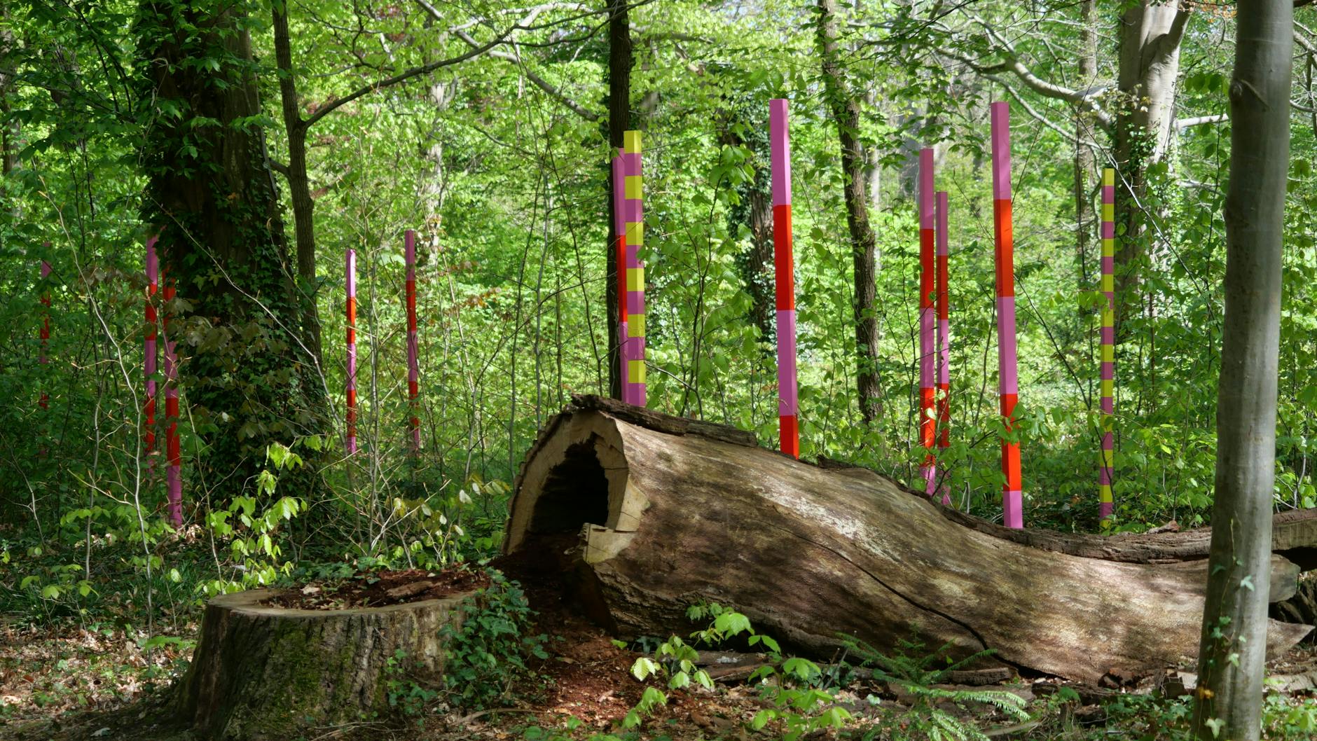 Ein umgestürzter Baum im Park Sanssouci gehört zum mahnenden Ausstellungsstück.