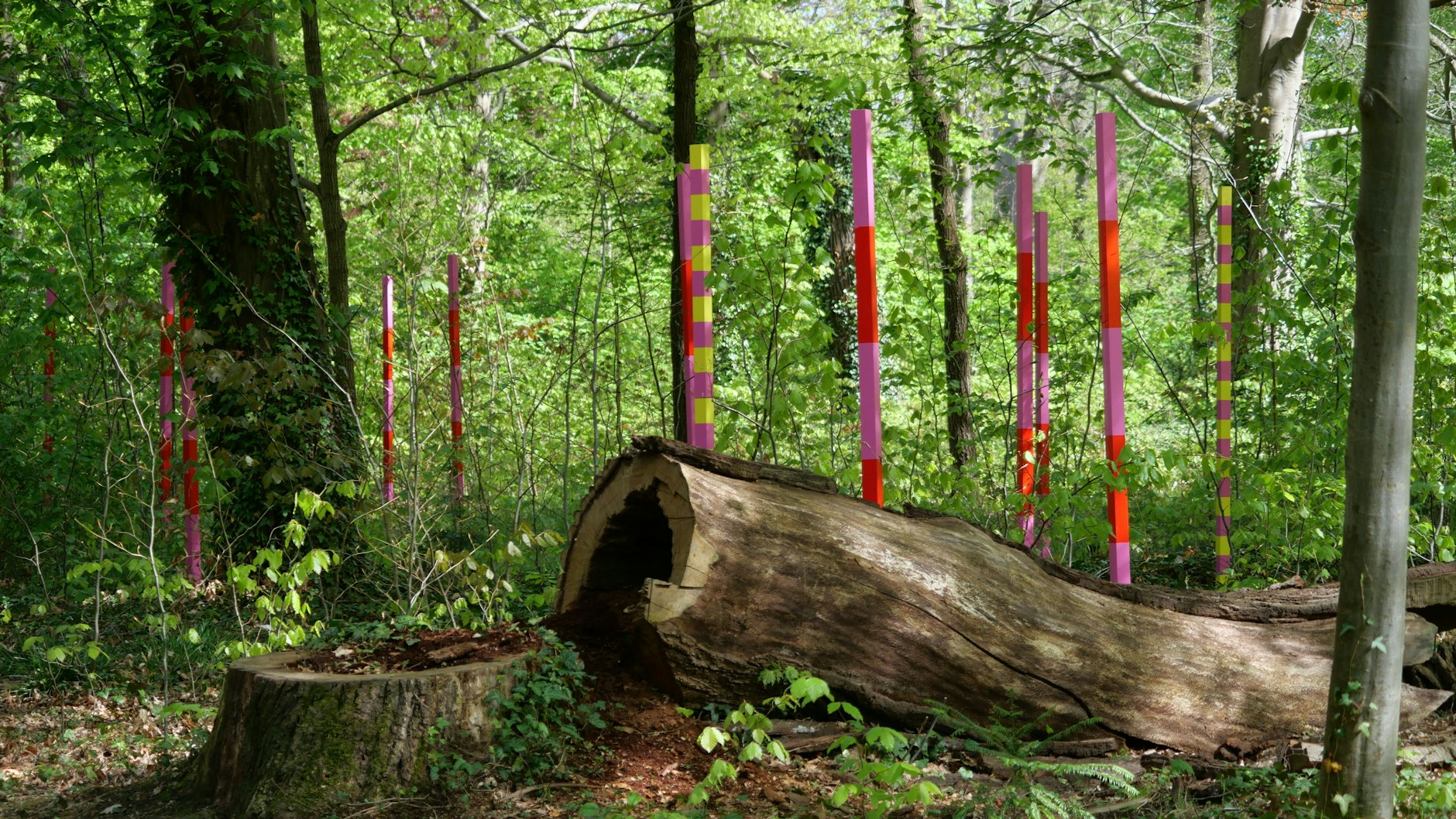 Ein umgestürzter Baum im Park Sanssouci gehört zum mahnenden Ausstellungsstück.
