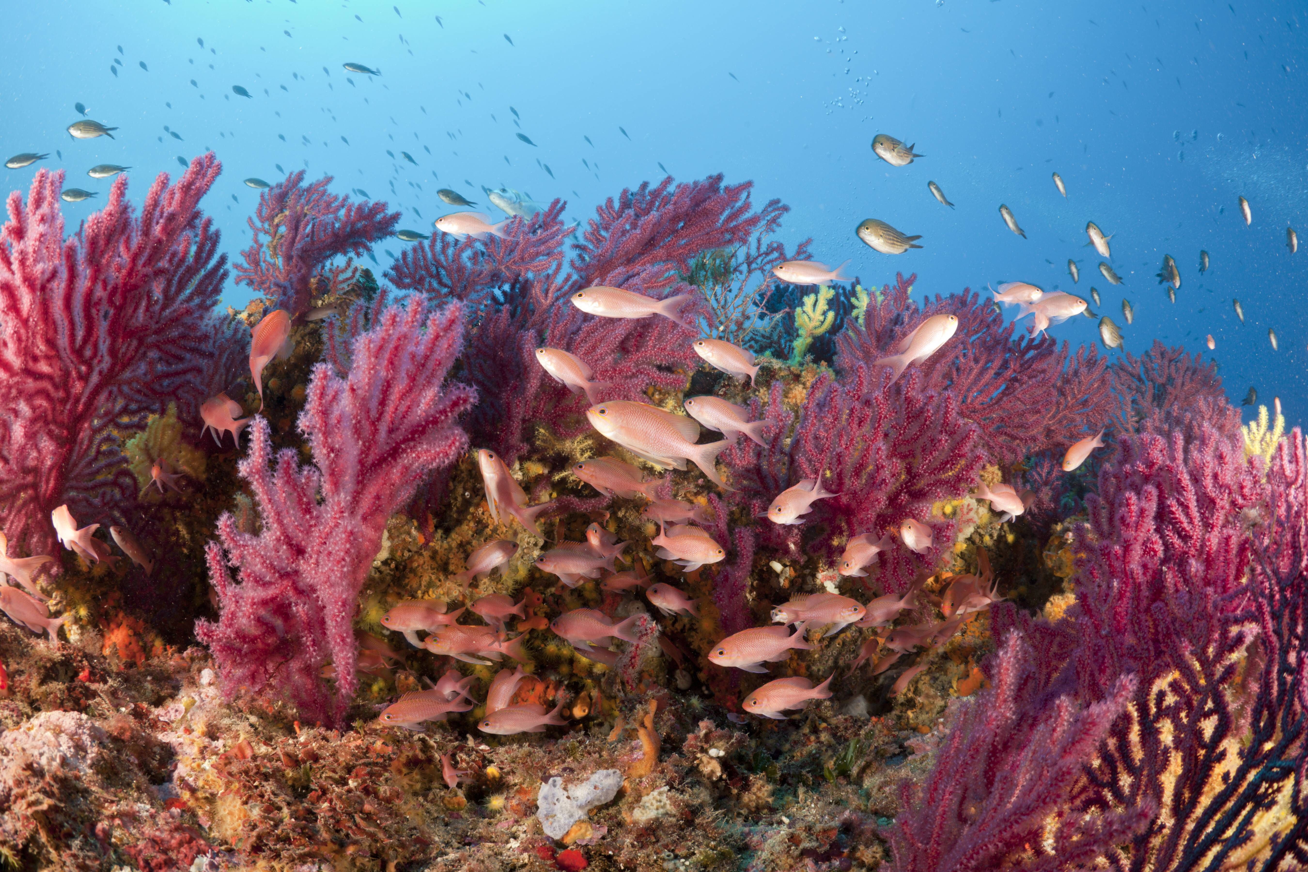 Aquarium: Trotz massiver Kritik beginnen die Bauarbeiten für „Ocean Berlin“ an der Rummelsburger Bucht.