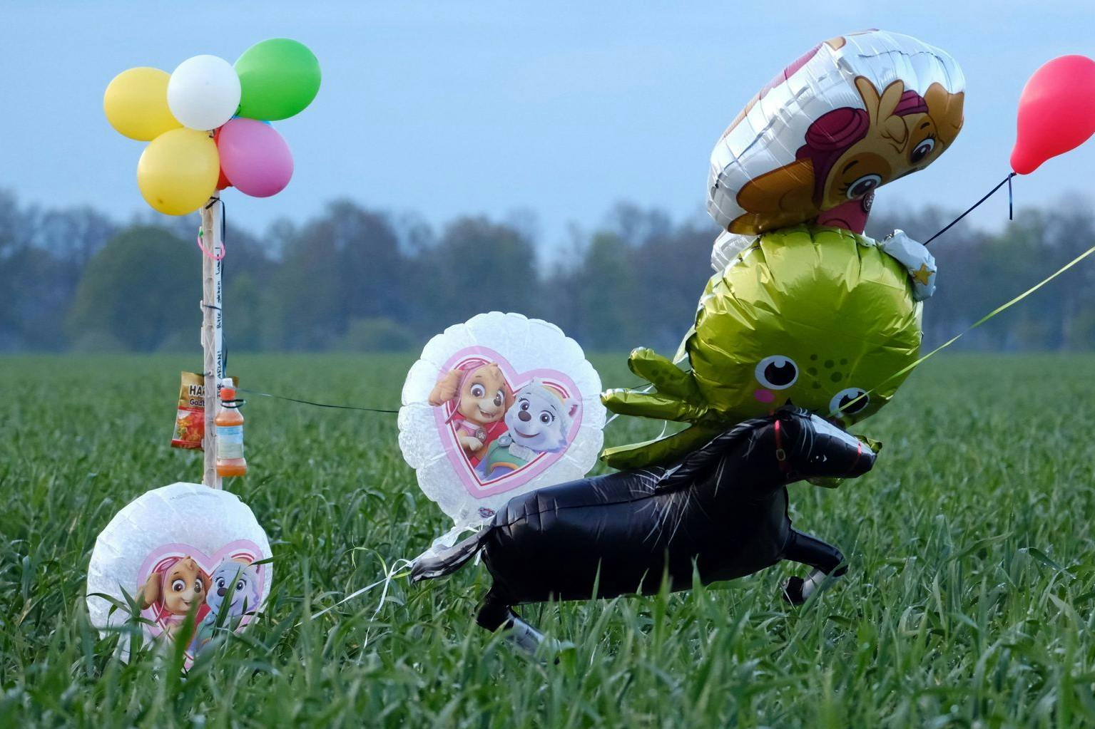 Ballons und Süßigkeiten stehen auf einem Feld bei Bremervörde. Sie sollen den vermissten Arian anlocken.