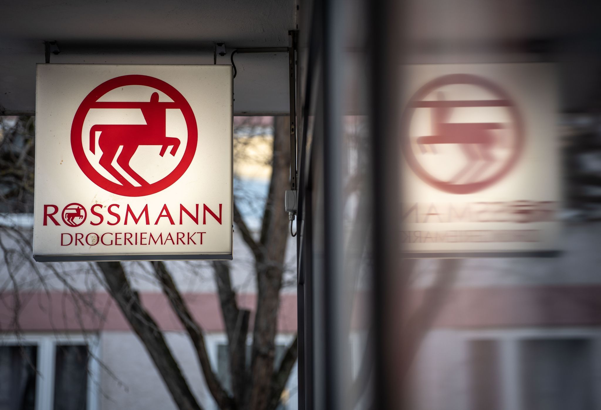 Image - Rossmann will Filialnetz ausbauen - auch im Ausland