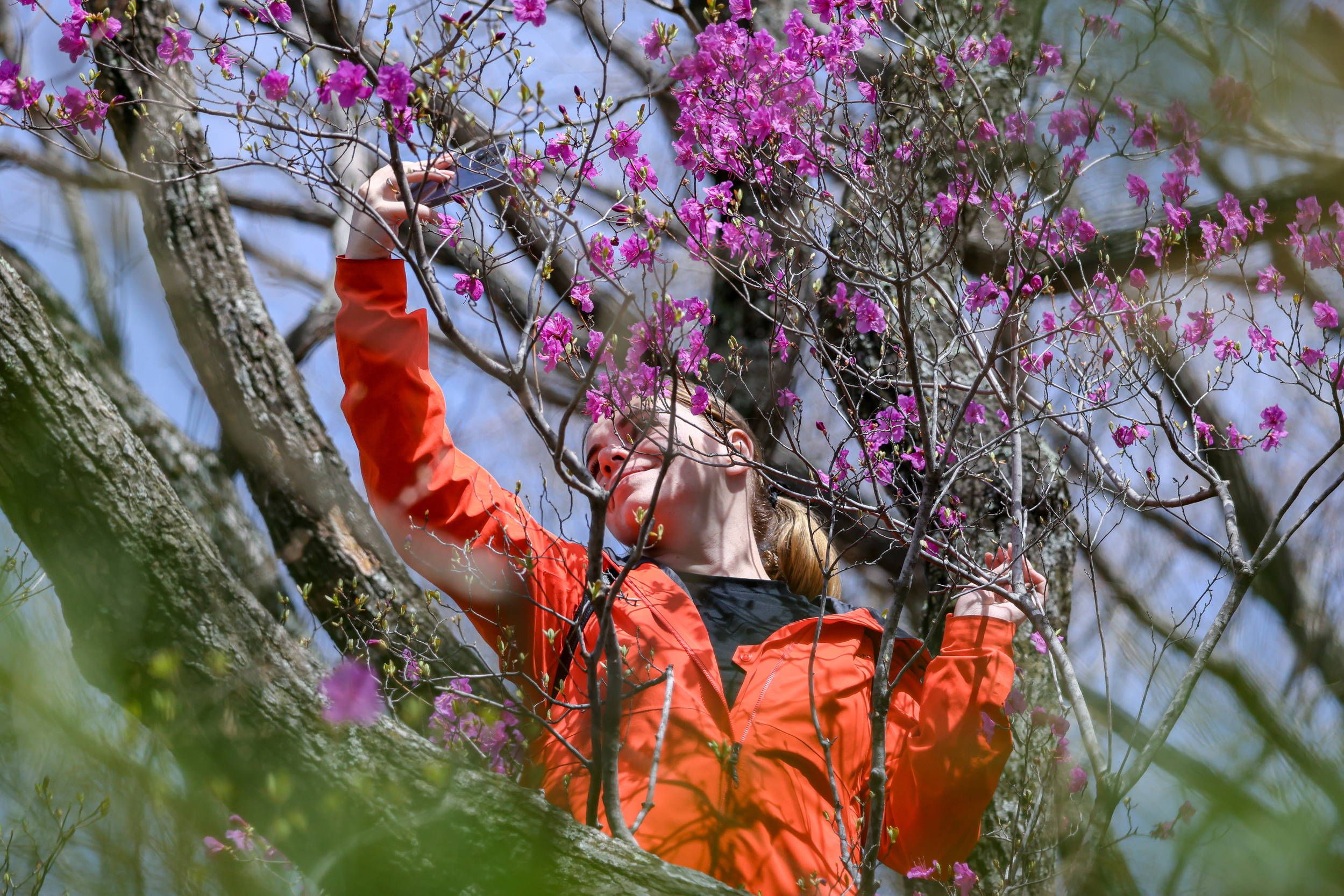 Laut Horoskop: Drei Sternzeichen werden im Mai scheitern