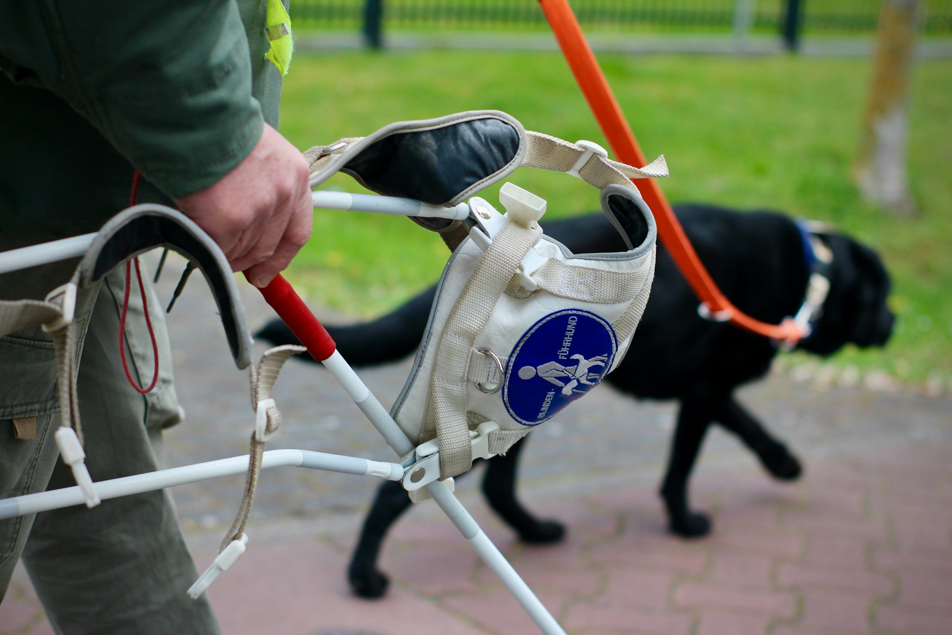 Es gibt einige Voraussetzungen, die erfüllt sein müssen, um einen Blindenführhund zu bekommen: Die Sehschärfe muss unter fünf Prozent liegen und der Blinde sollte körperlich fit sein. Zudem muss genügend Wohnraum zur Verfügung stehen und der Vermieter der Tierhaltung grundsätzlich zustimmen. Zunächst folgt ein Einweisungslehrgang, in dem Mensch und Tier den Umgang miteinander lernen. Erst nach erfolgreicher Prüfung darf der Blinde das Tier mit nach Hause nehmen. Es gibt viele Menschen, die einen Blindenführhund wollen und brauchen, aber nicht haben, erzählt Hundetrainerin Kassner.