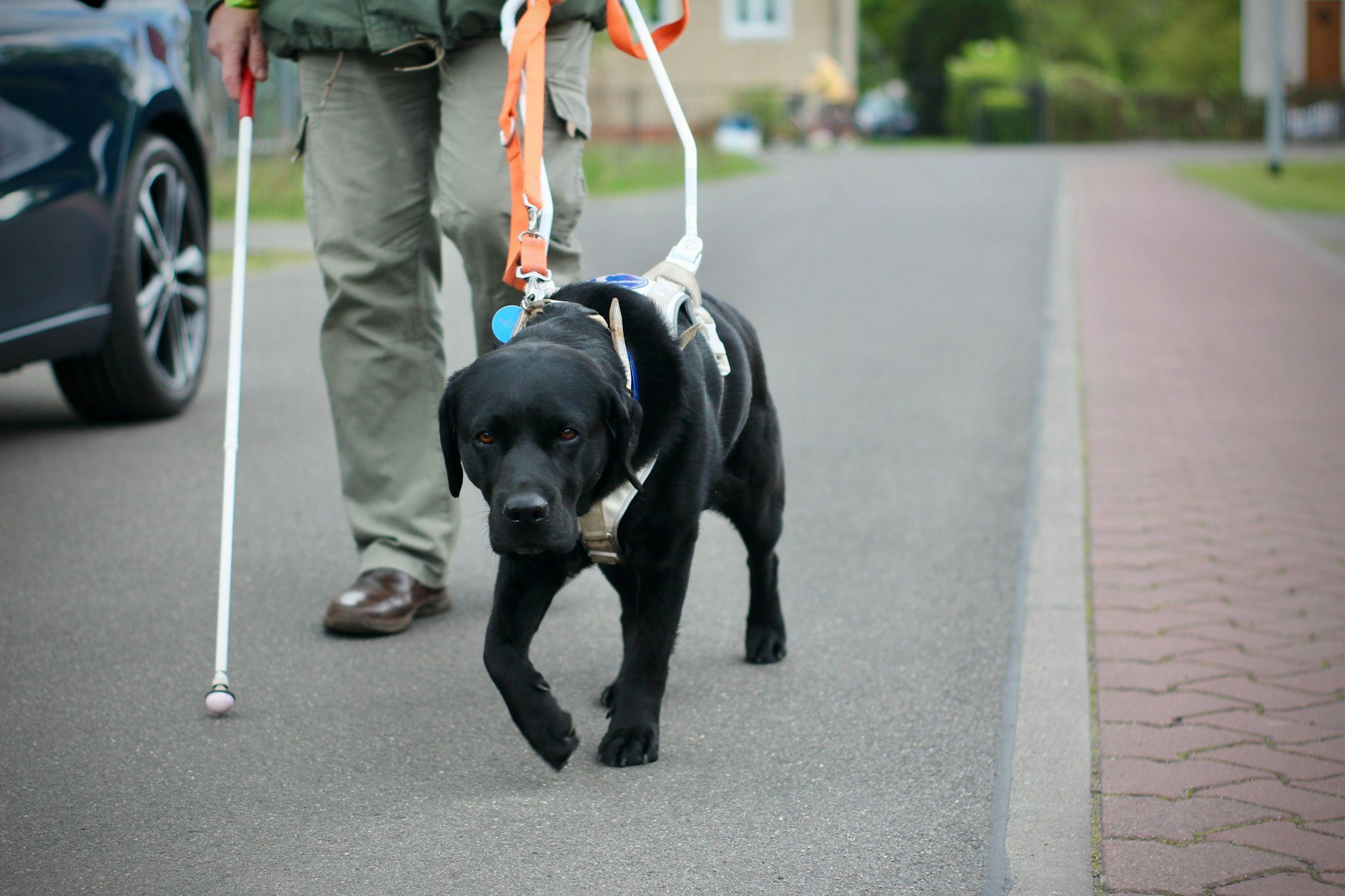 Xena kann viele Kommandos. Ihr Herrchen redet mit ihr, als wär sie ein Mensch, ein Kollege. Sie kennt die Bedeutung von rechts und links oder „Such Zebra“, das heißt, sie soll einen Zebrastreifen suchen. In Gebäuden kann sie beispielsweise den Eingang, den Ausgang oder eine Treppe suchen.
