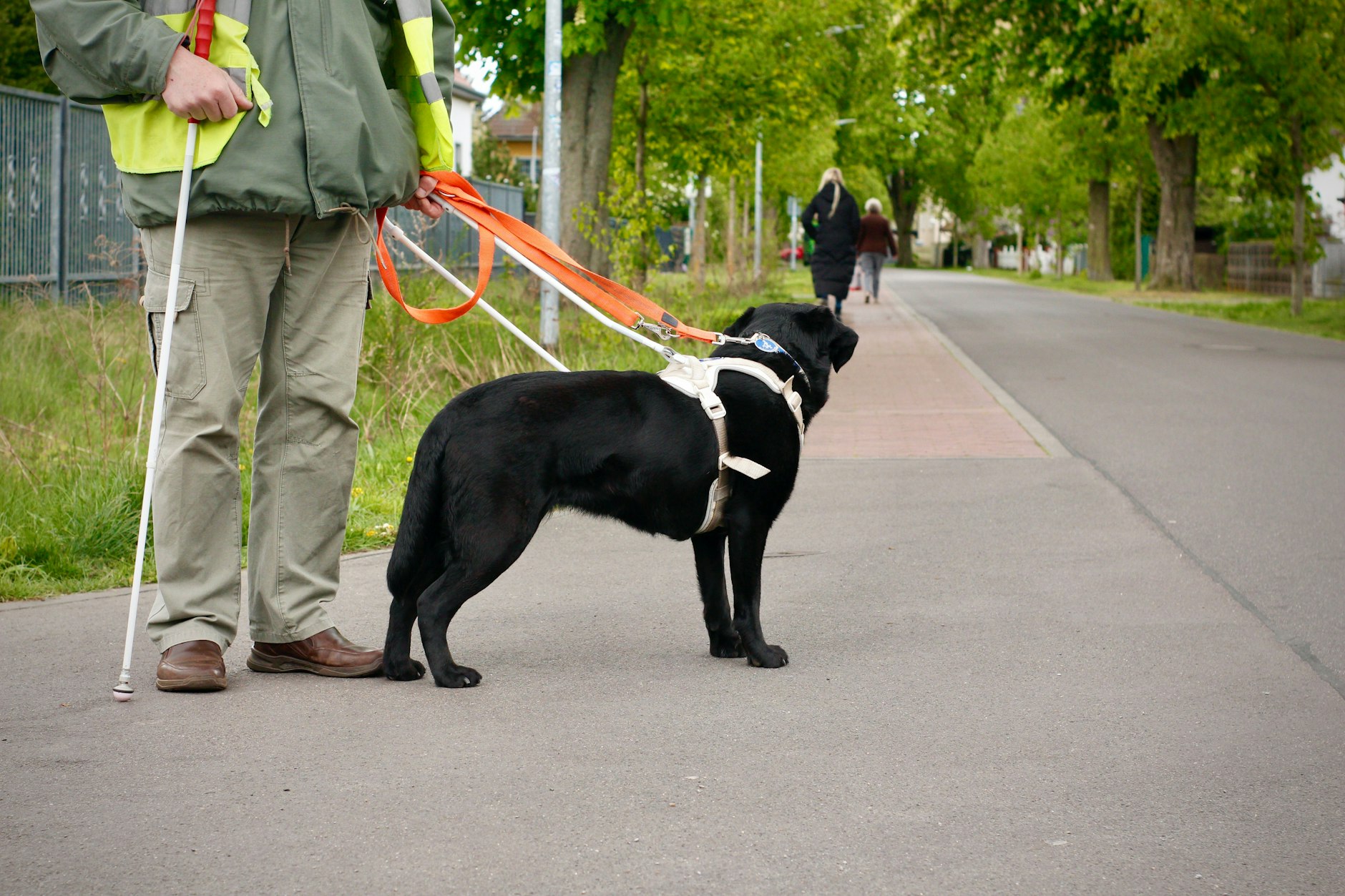 Den geeigneten Hund zu finden, ist gar nicht so einfach: Xena hat alle Kriterien erfüllt – sie ist absolut gesund, das bestätigte der Tierarzt schon im Welpenalter. Auch musste sie sich als intelligent, lernfreudig und nervenstark beweisen. Das testete ihre Hundetrainerin Melissa Kassner.