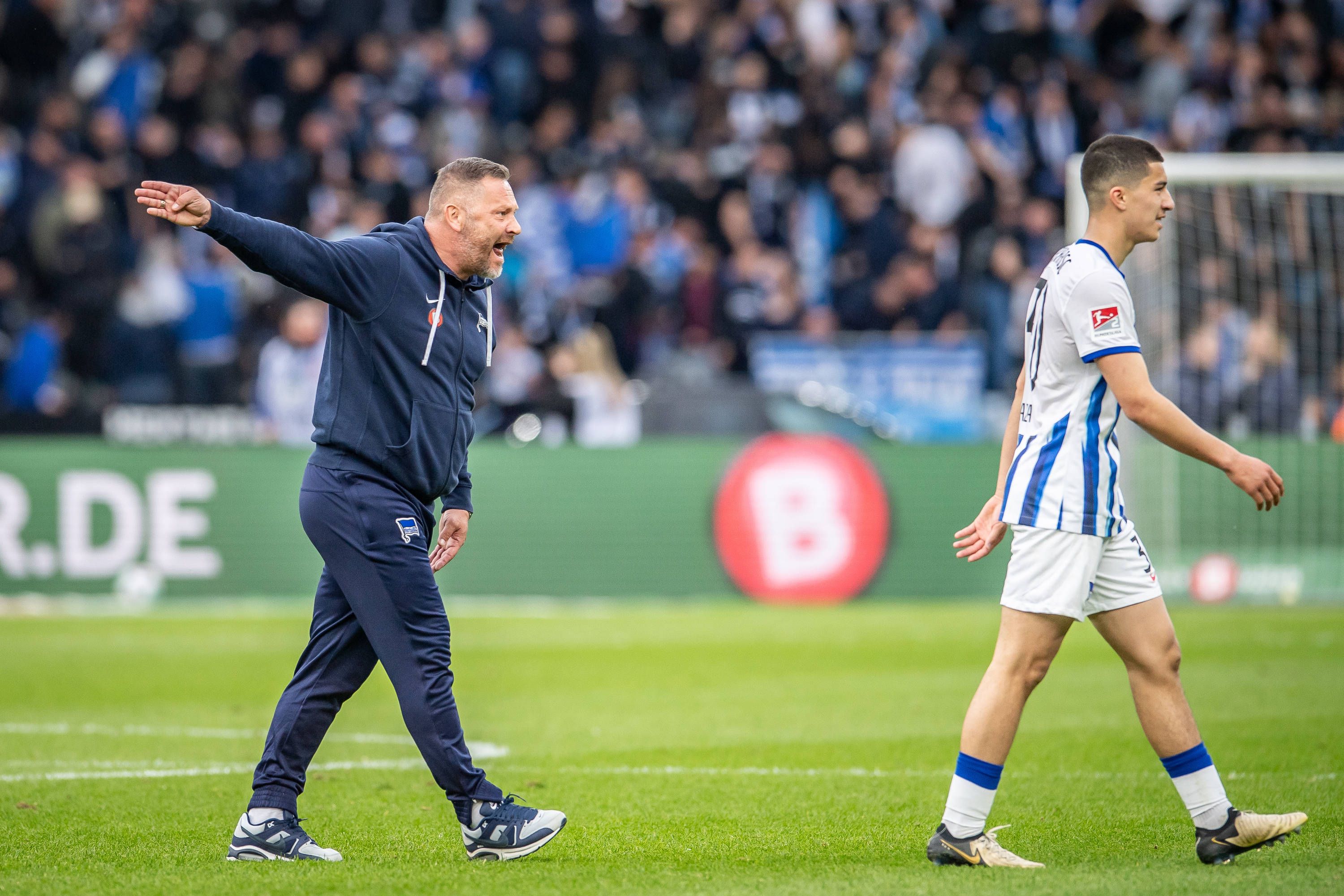 Image - Dardais Wutanfall: Macht Ibrahim Maza jetzt bei Hertha BSC den Abflug?