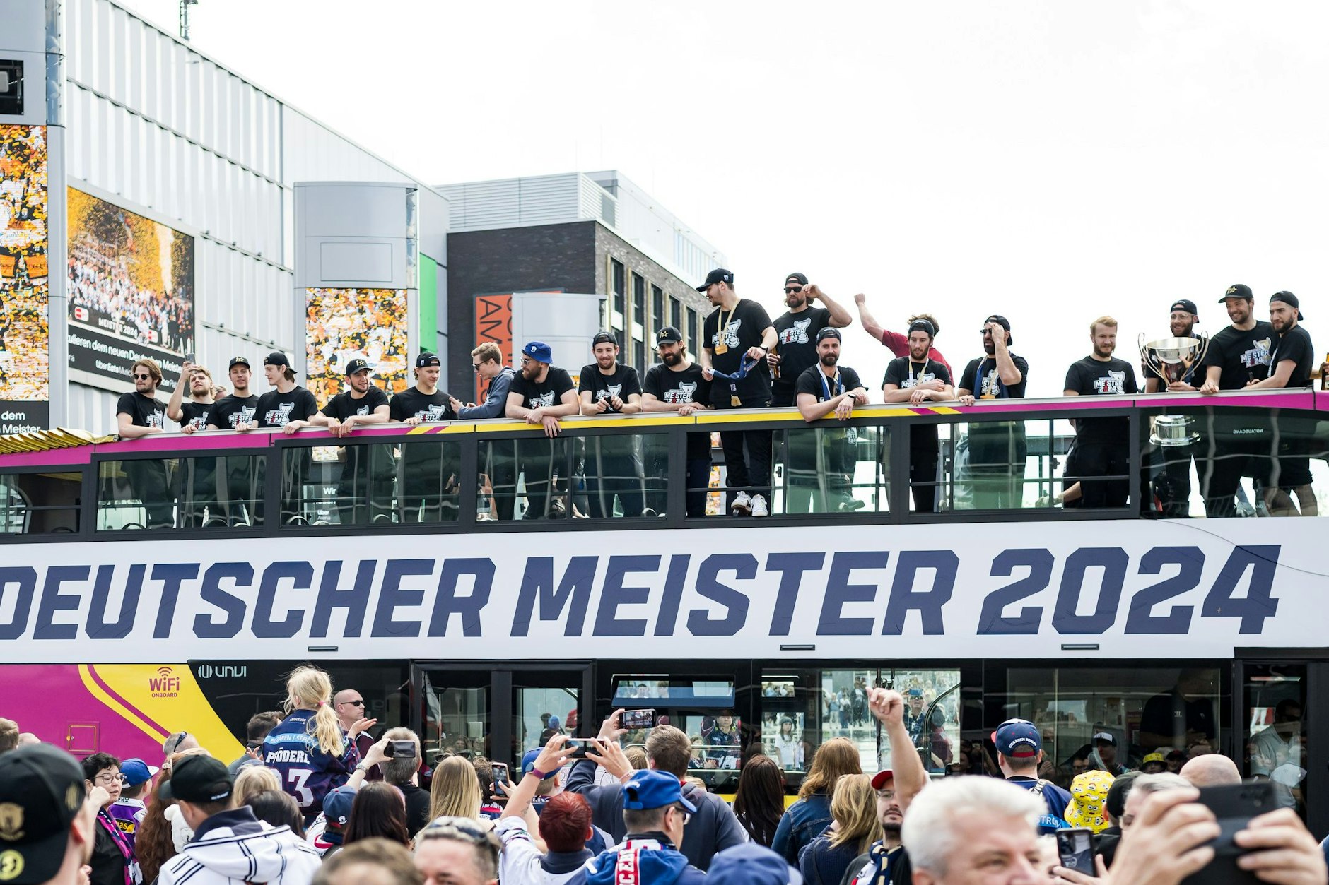 Der Pokal ist wieder hier, in seinem Revier ... Im Doppeldecker fahren die Eisbären vor der Arena vor, werden von den Fans begeistert empfangen.