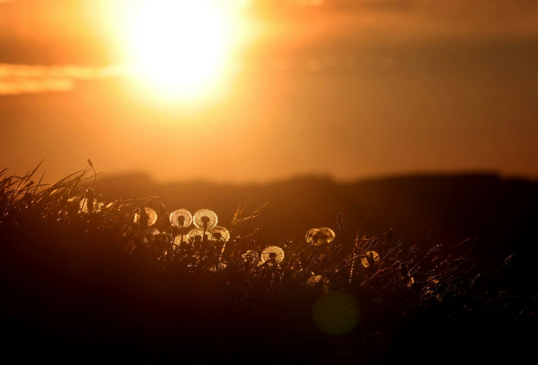 Der Frühling ist zurück: Am Wochenende soll es endlich richtig warm werden. Und auch in der kommenden Woche dürfte das Wetter viele Menschen ins Grüne ziehen.  