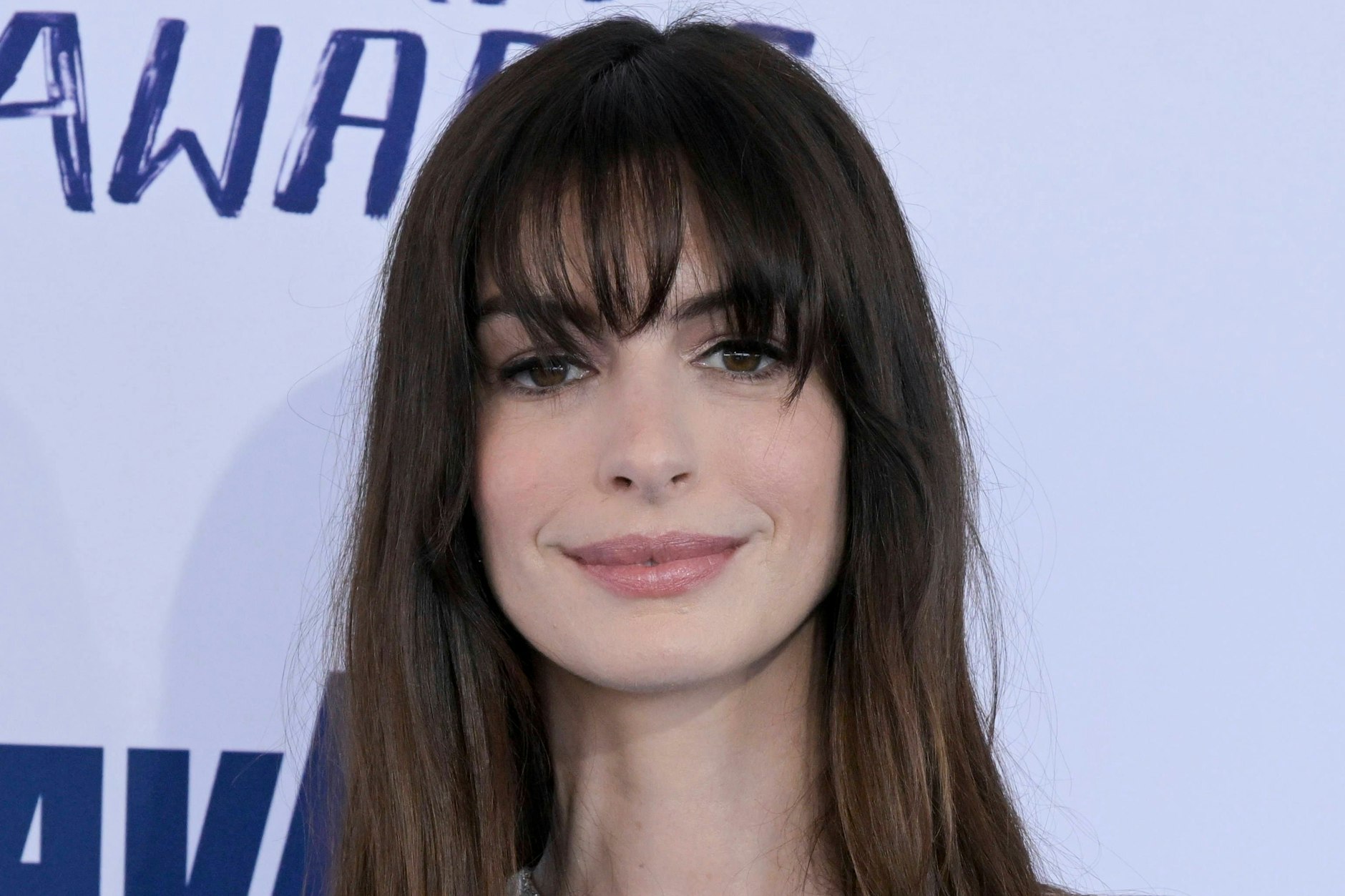 Schauspielerin und Oscarpreisträgerin Anne Hathaway (41)