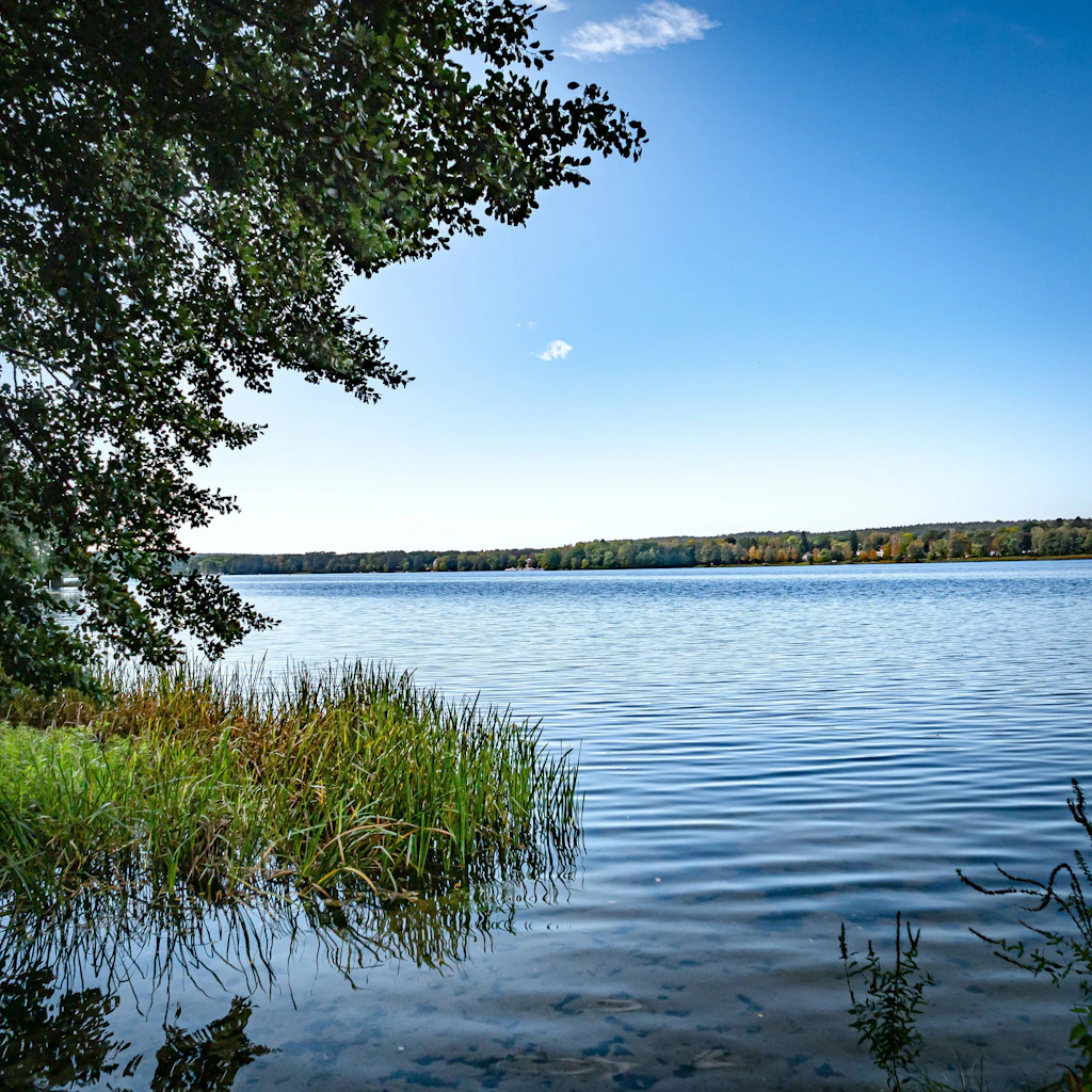 Scharmützelsee: Passant findet Toten – wohl vermisster 63-Jähriger
