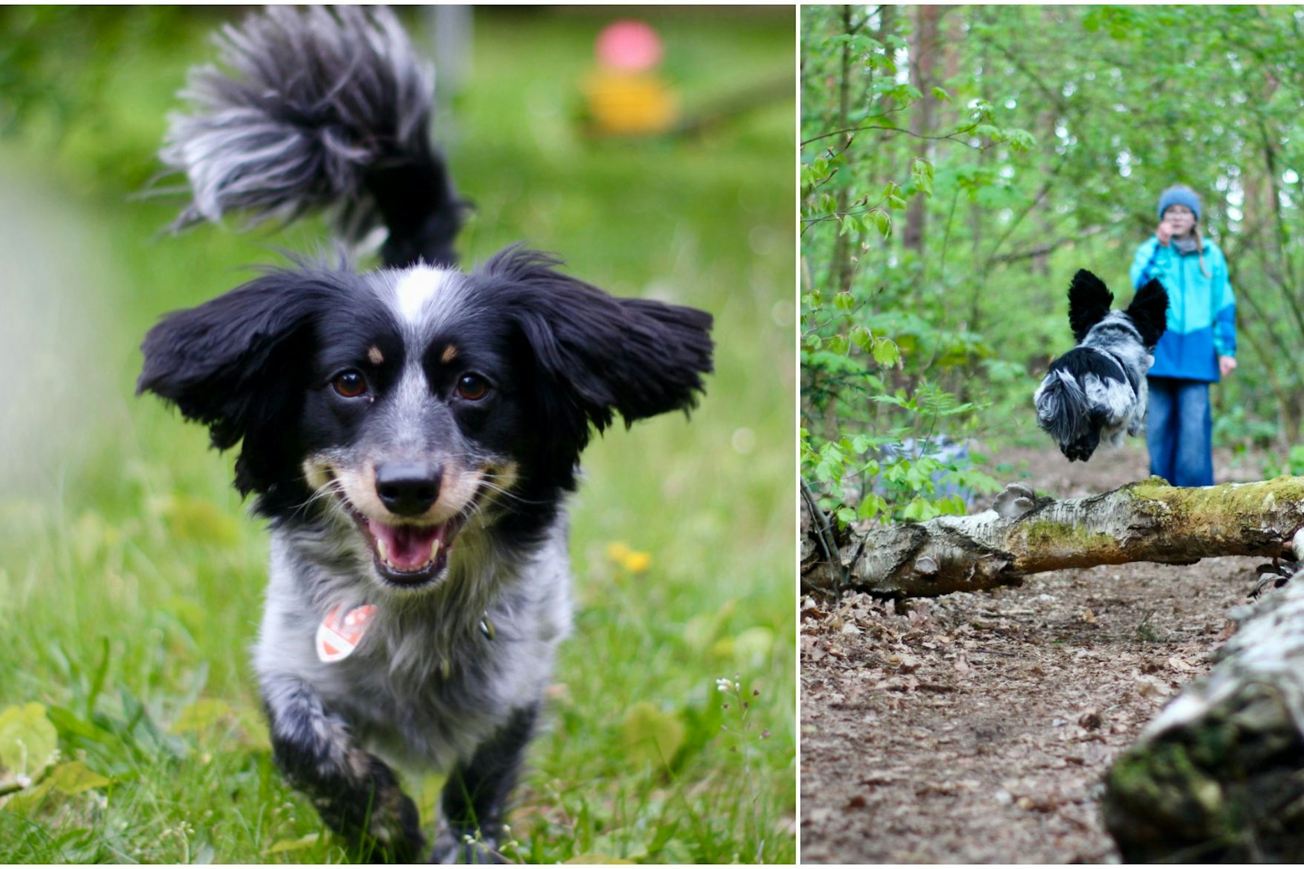 Ruby (9) und ihr bester vierbeiniger Freund Billy. Der kann sogar fliegen – so sieht es jedenfalls auf dem Foto aus.