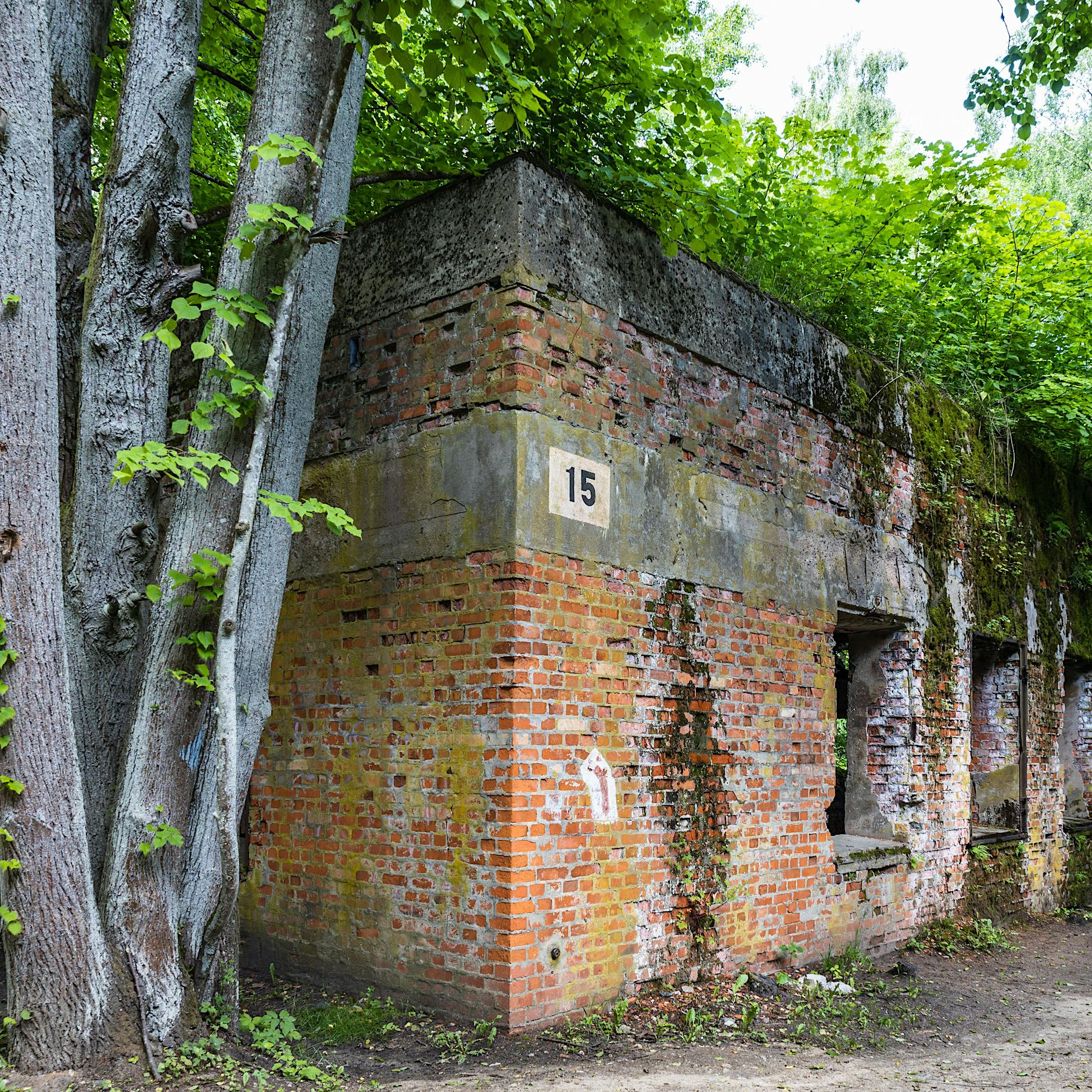 Wolfsschanze: Forscher entdecken Skelette im ehemaligen Haus von Hermann Göring