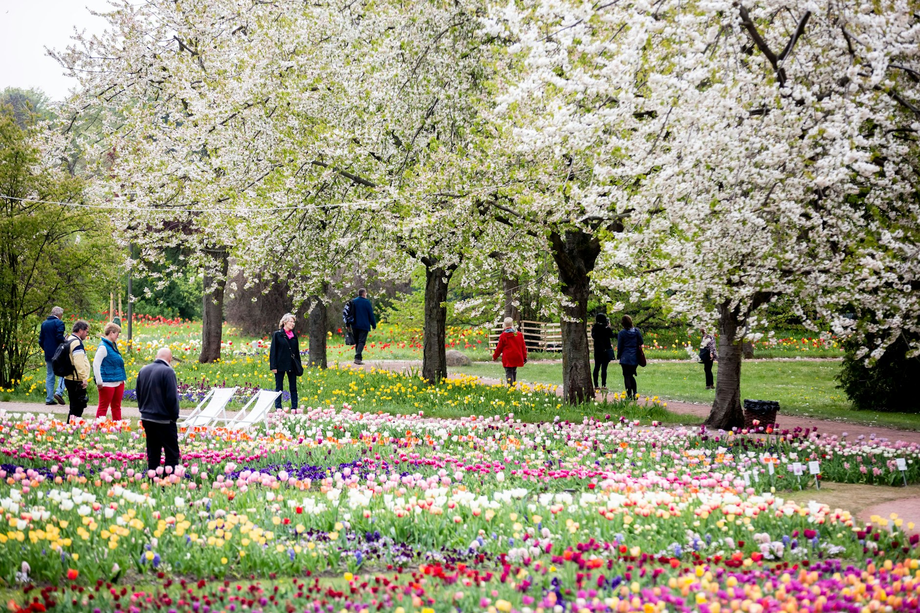 Kaum zu glauben, aber auch das ist Berlin: der Britzer Garten in Neukölln in all seiner Pracht