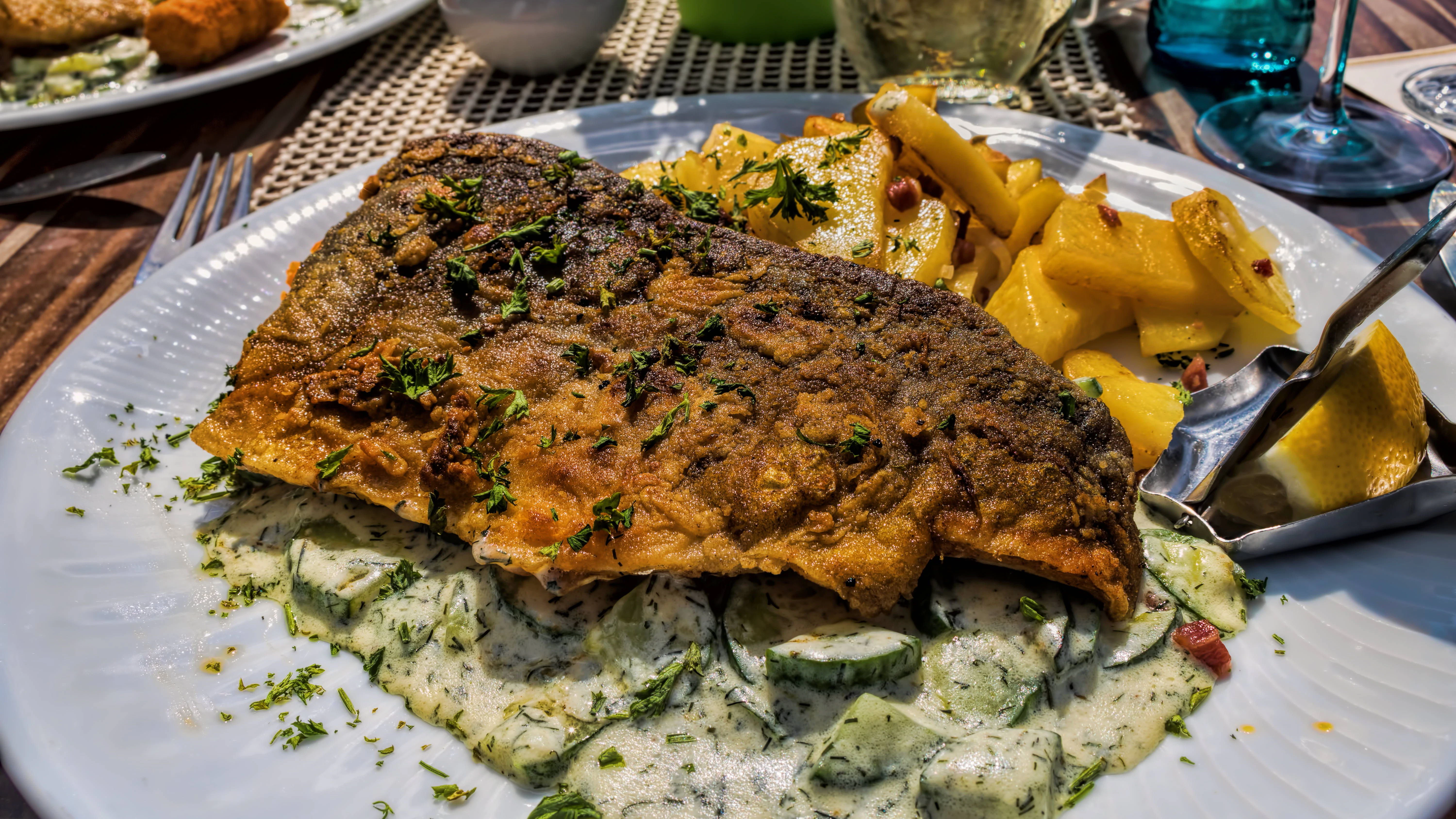 Zum Rezept für Schmorgurken passt Fisch besonders gut.