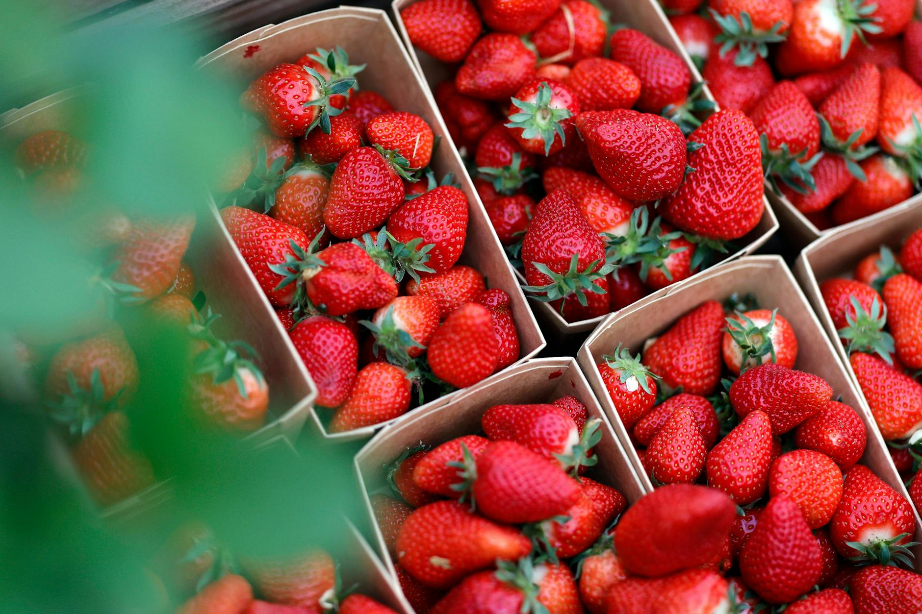 Mit einem simplen Trick bleiben Erdbeeren länger frisch.