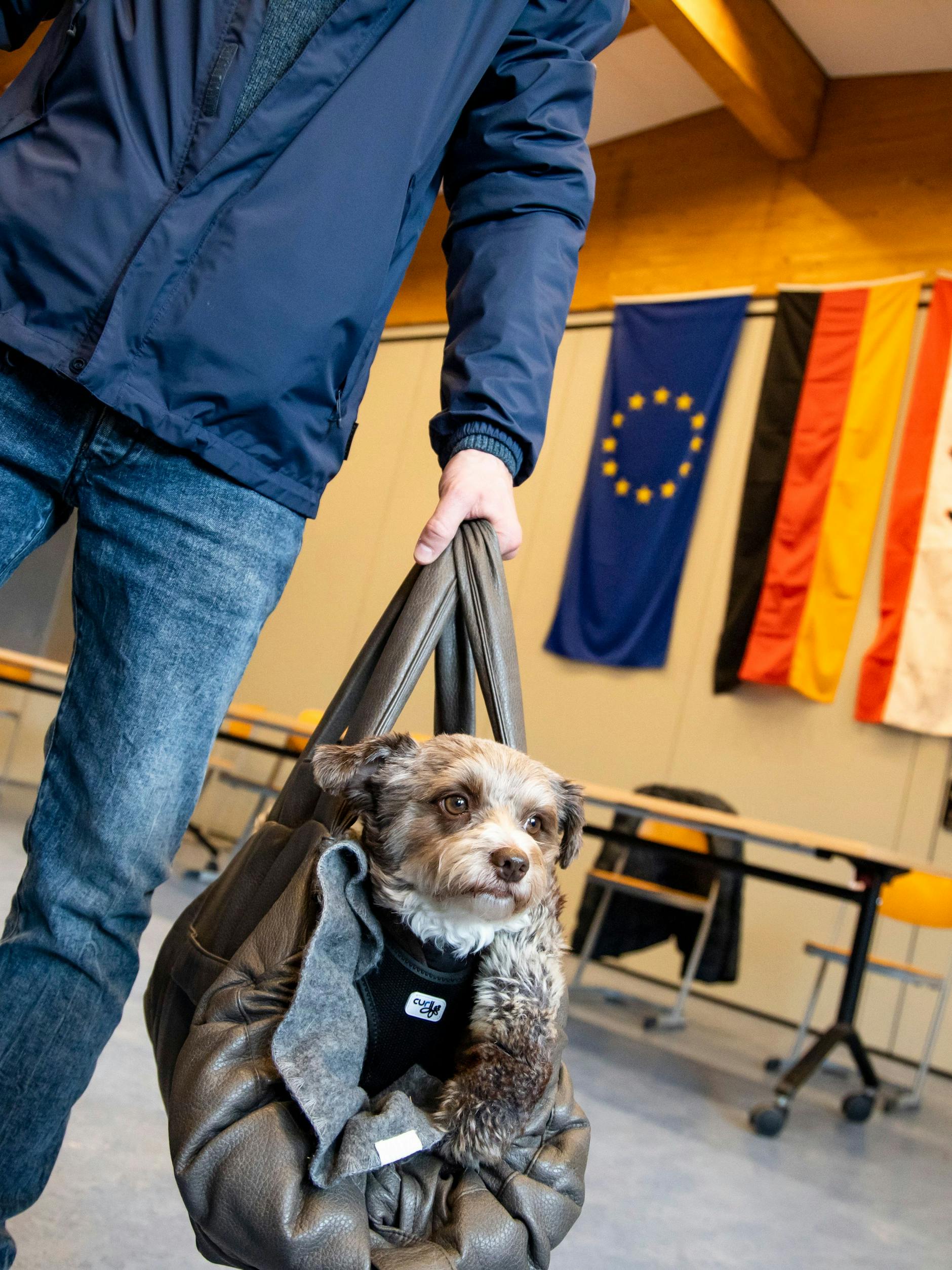 Jogi heißt der Hund, mit dem ein Wähler hier zur Stimmabgabe in ein Berliner Wahllokal geht. Für Ihren Hund können Sie gleich hier abstimmen!