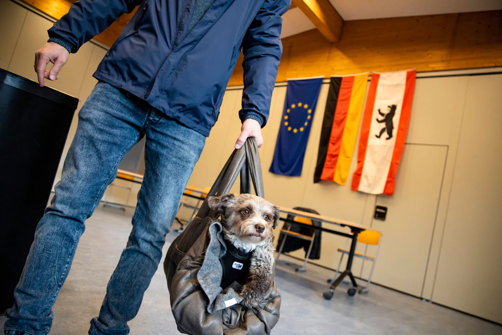 Hundeskanzler, vierte Runde! So wird Ihr Vierbeiner schönster Hund Deutschlands!