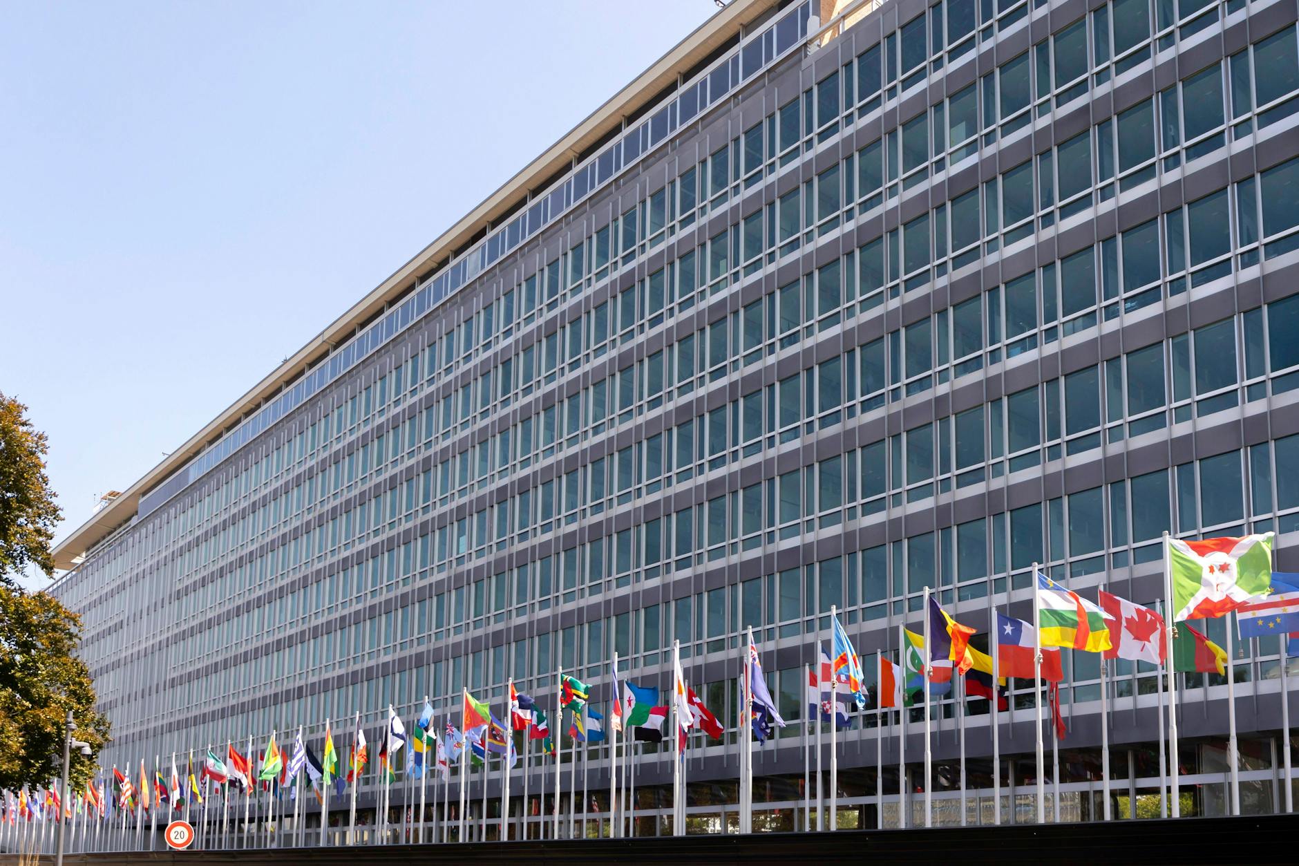 Bereits während des Covid-19-Notstands konnte man beobachten, welch große Autorität die WHO genießt, auch ohne über rechtlich bindende Anweisungen oder Sanktionsmöglichkeiten zu verfügen.