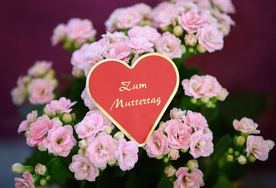 ARCHIV - Blumen zählen zu den beliebtesten Geschenken zum Mutterag (Symbolbild).  pa