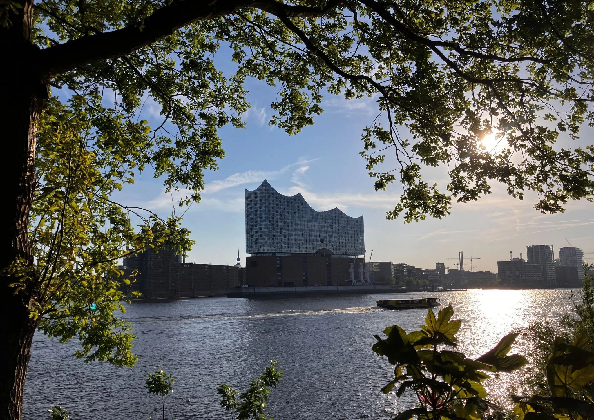 Die Elbphilharmonie erstrahlt im frühen Sonnenlicht. Im Norden und im Osten wird heute wieder schönes Sommerwetter erwartet. Im Süden und im Westen müssen sich die Menschen hingegen auf unbeständiges Wetter und Schauer einstellen.  