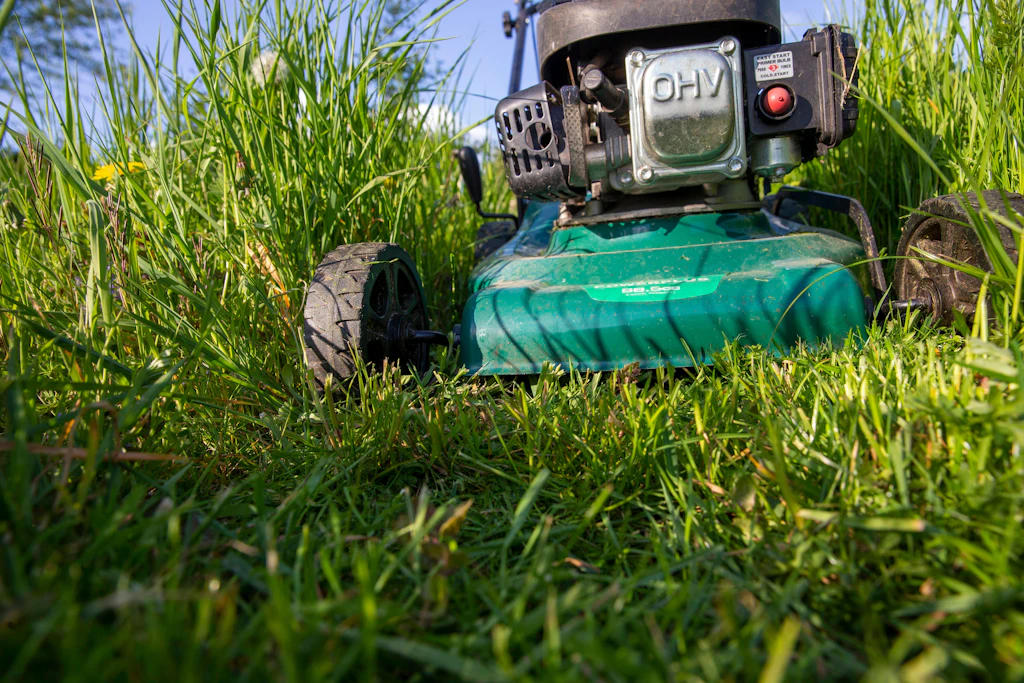Garten-Trend aus England: DAS steckt hinter „No Mow May“
