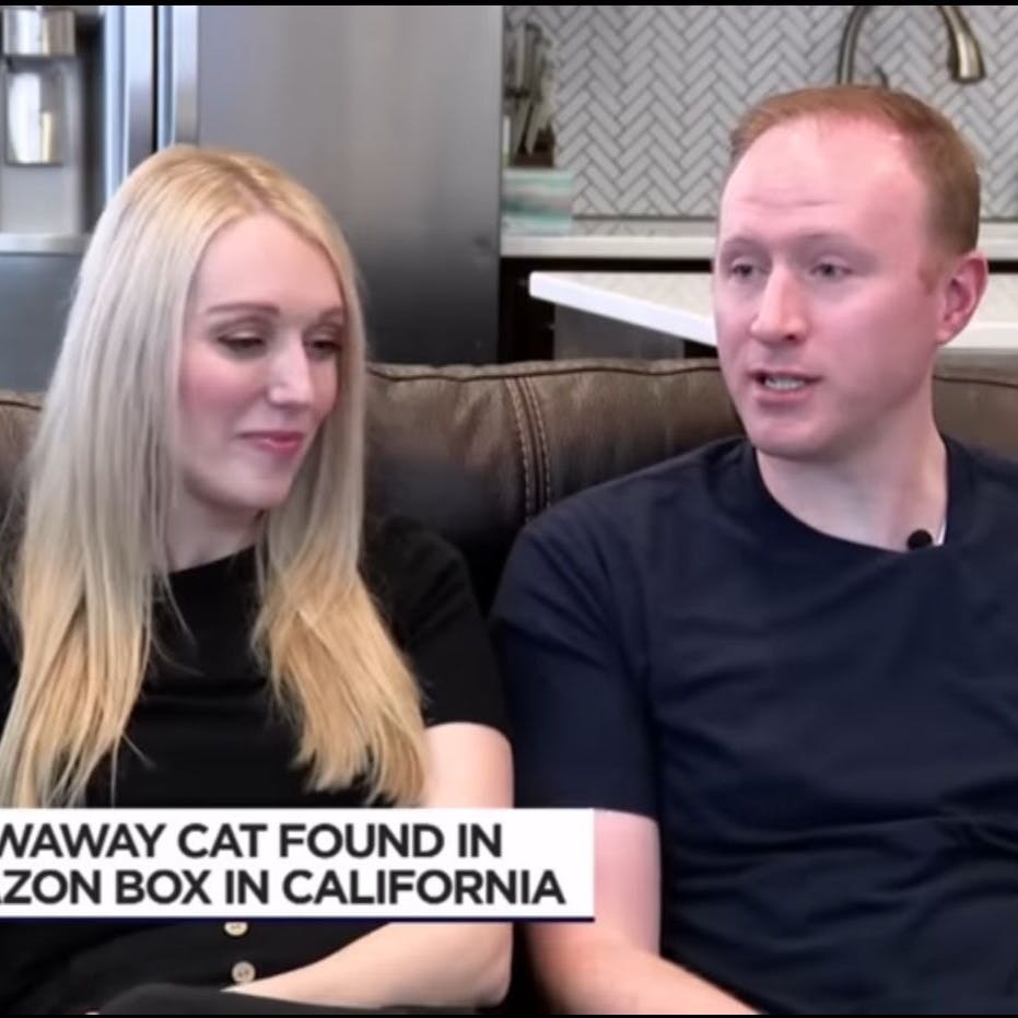 Carrie Clark und ihr Mann hatten ihre Katze Galena unfreiwillig verschickt.