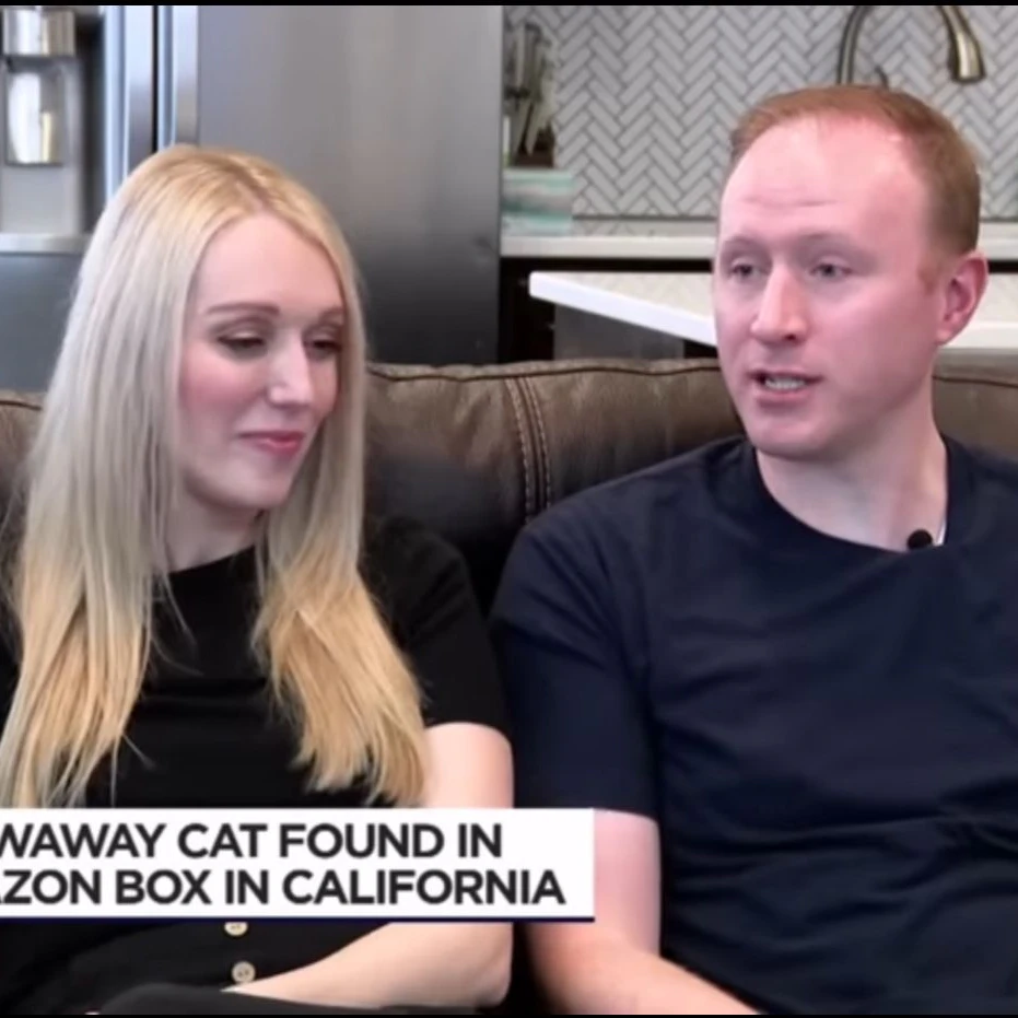 Carrie Clark und ihr Mann hatten ihre Katze Galena unfreiwillig verschickt.