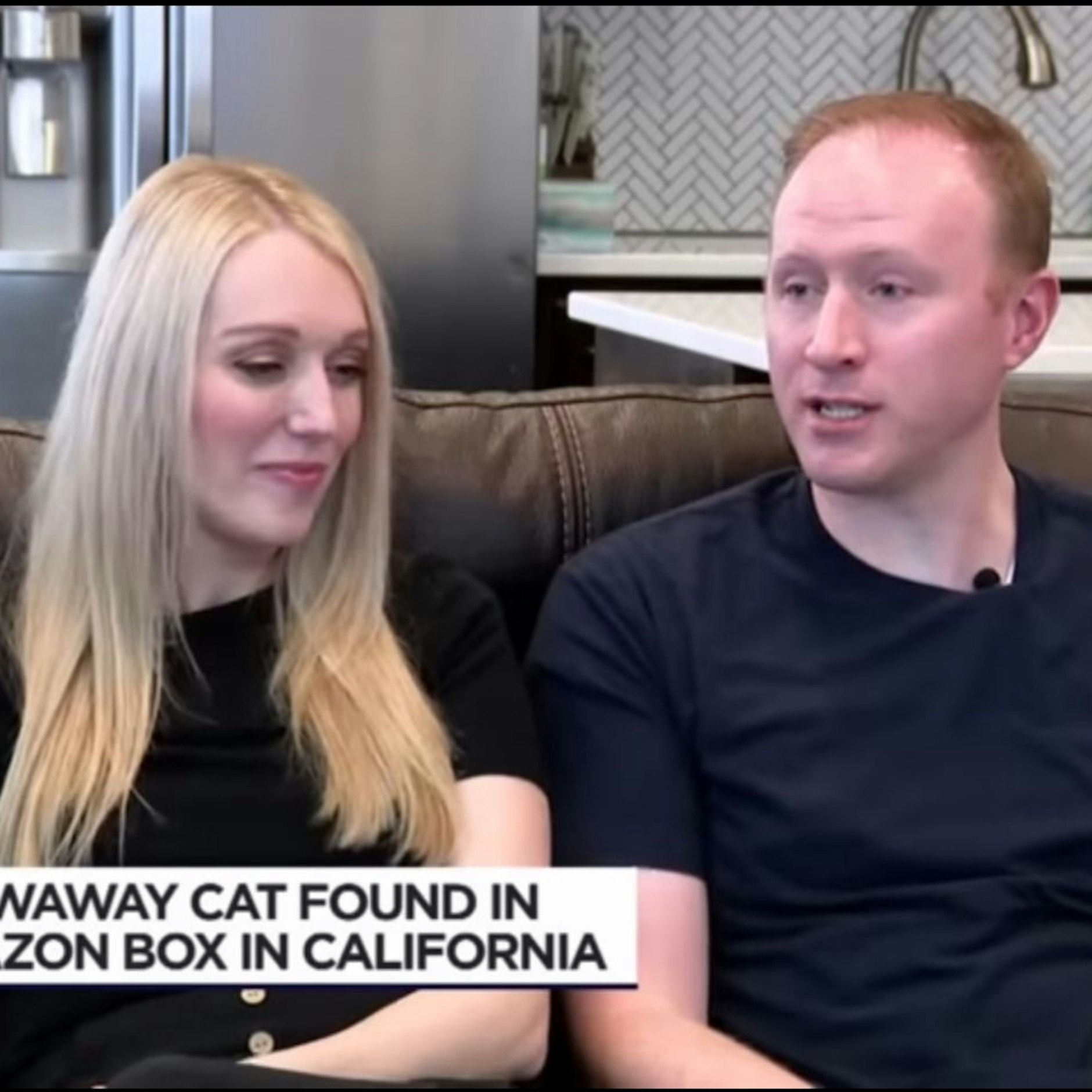 Carrie Clark und ihr Mann hatten ihre Katze Galena unfreiwillig verschickt.