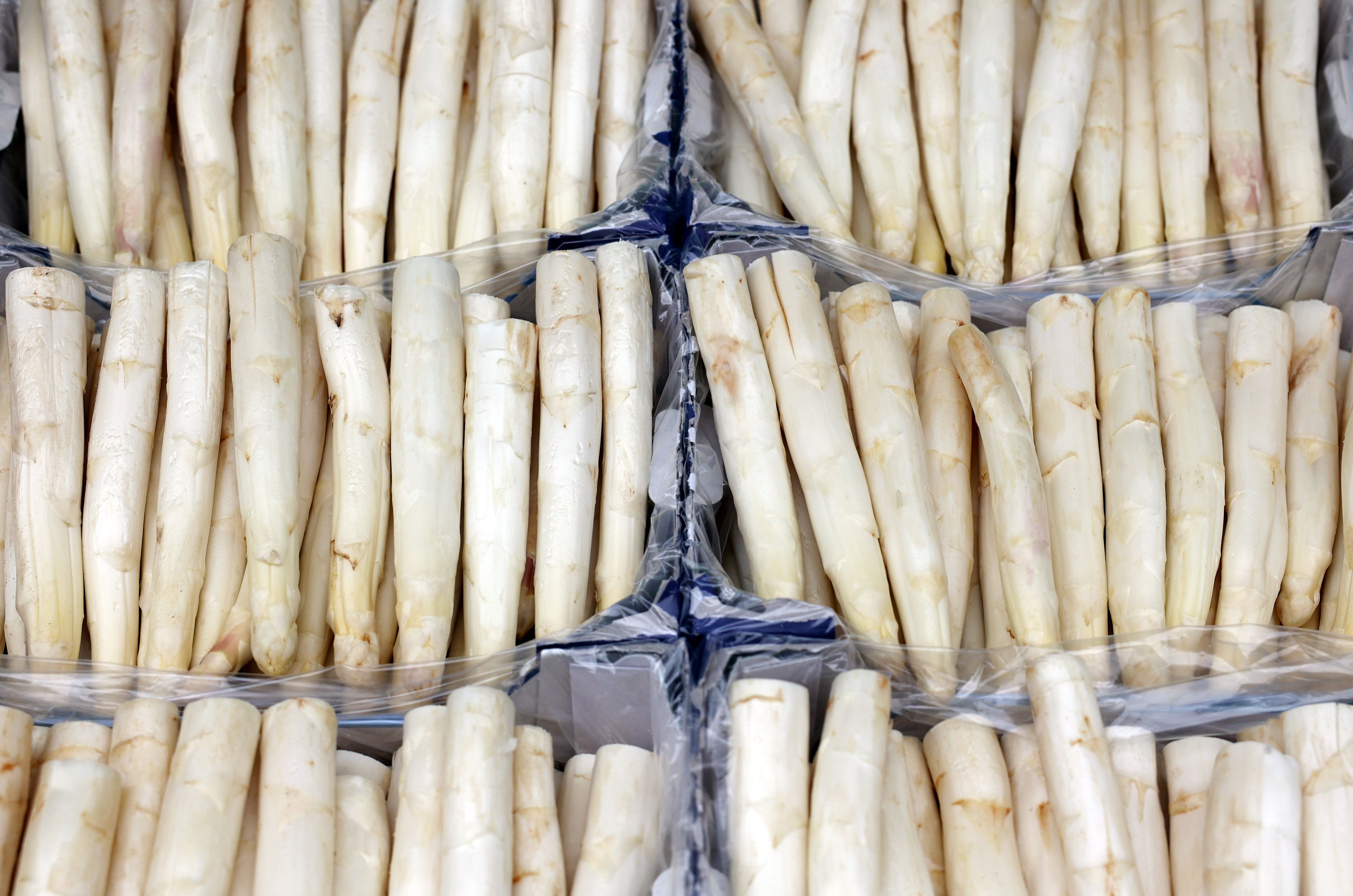 Spargel: Darum ist er dieses Jahr etwas günstiger