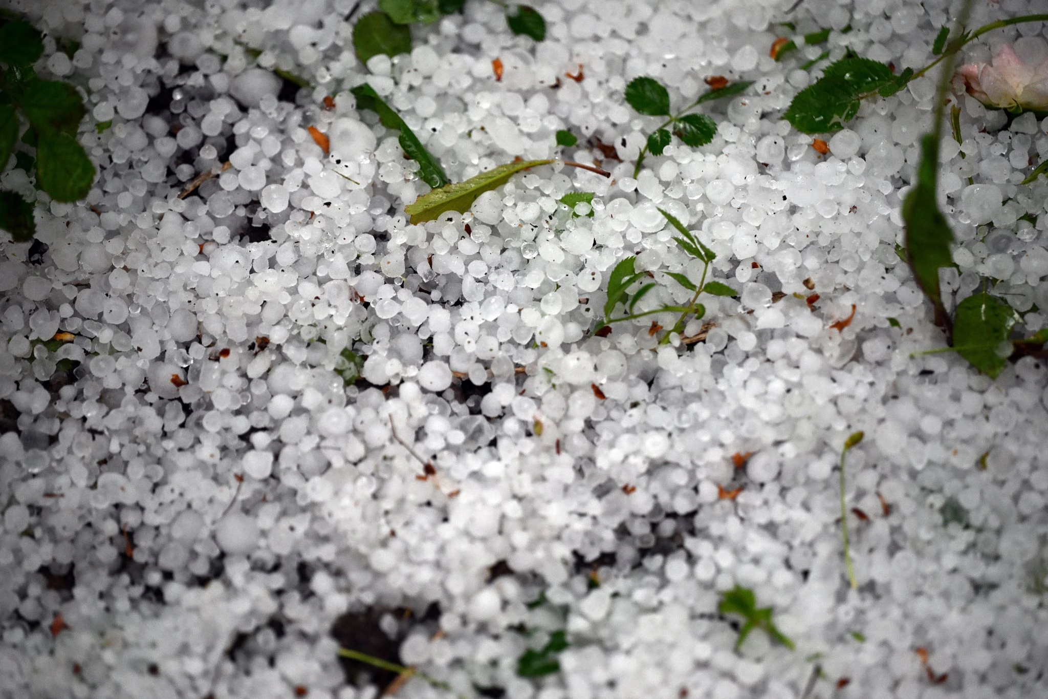 Am Nachmittag zogen erste schwere Gewitter mit kräftigem Regen - und teils auch mit Hagel - über das Land.  