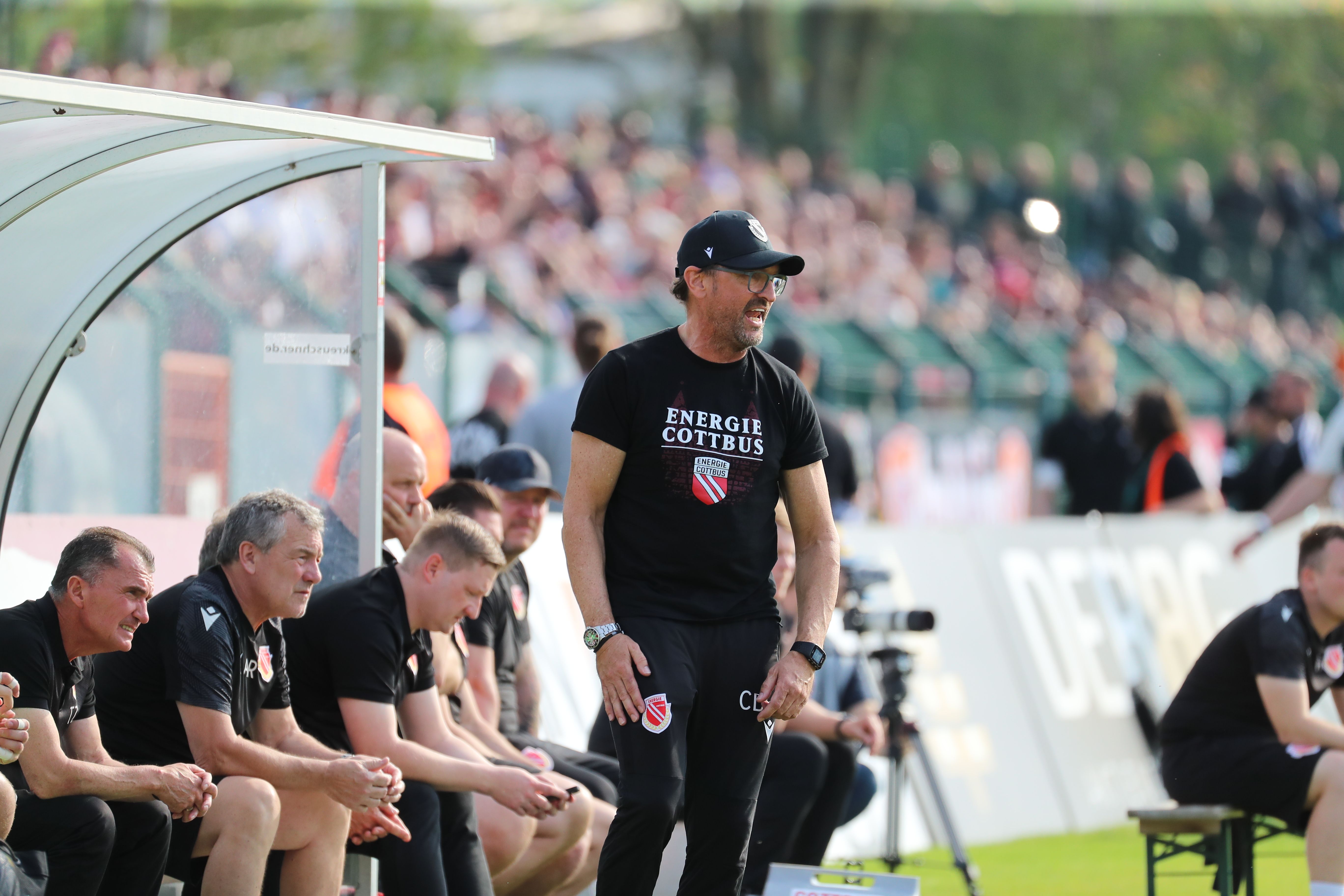 Zoff um Wollitz-Sätze: Der BFC fordert eine Entschuldigung!