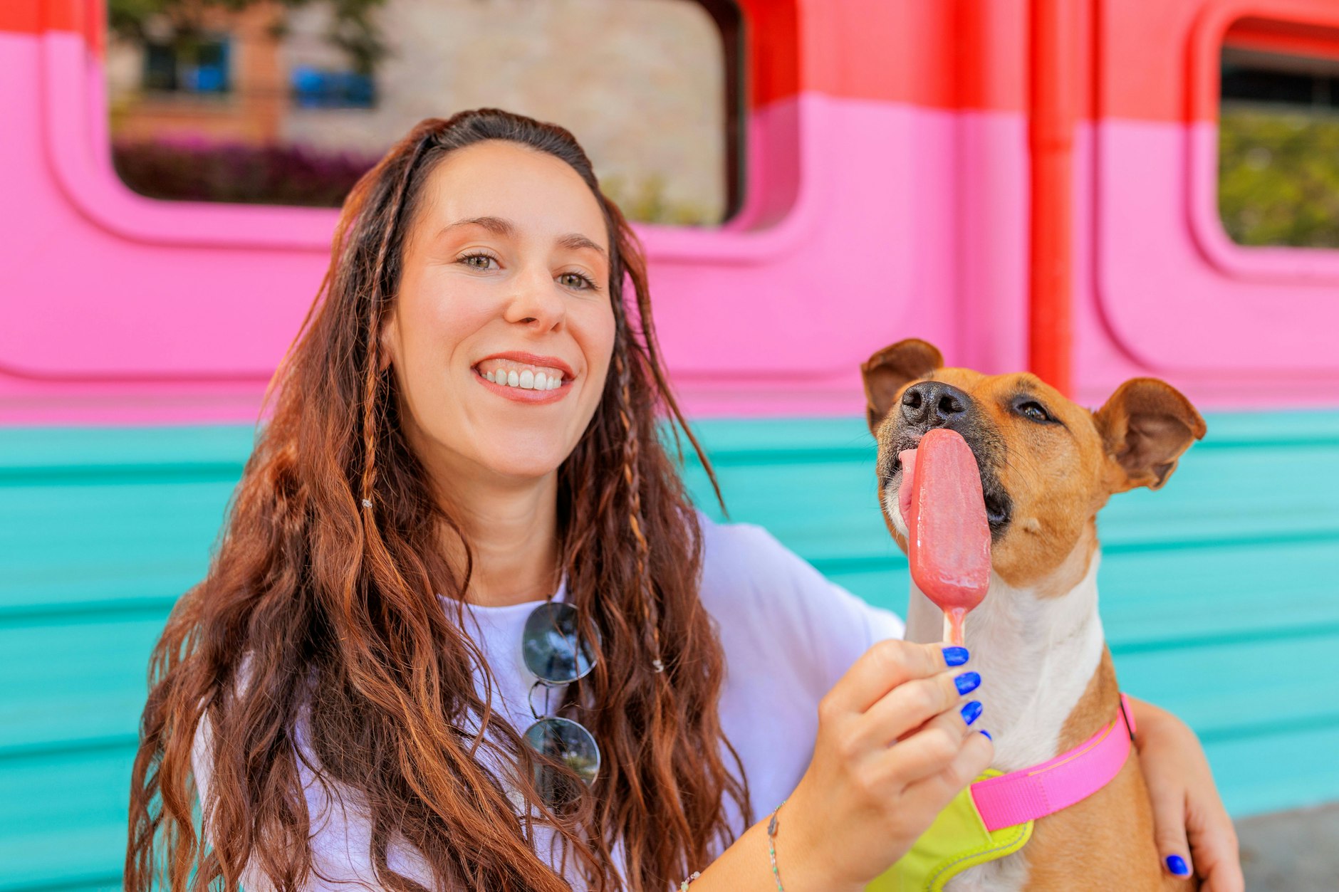 So machen Sie Eis für ihren Hund selbst - Einfaches Rezept für Hundeeis! 