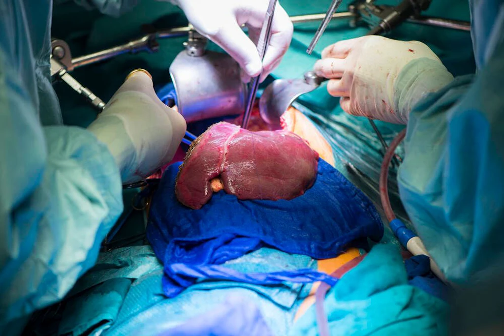 Charité an Studie beteiligt: Alterungsprozess bei Transplantation älterer Organe stoppen