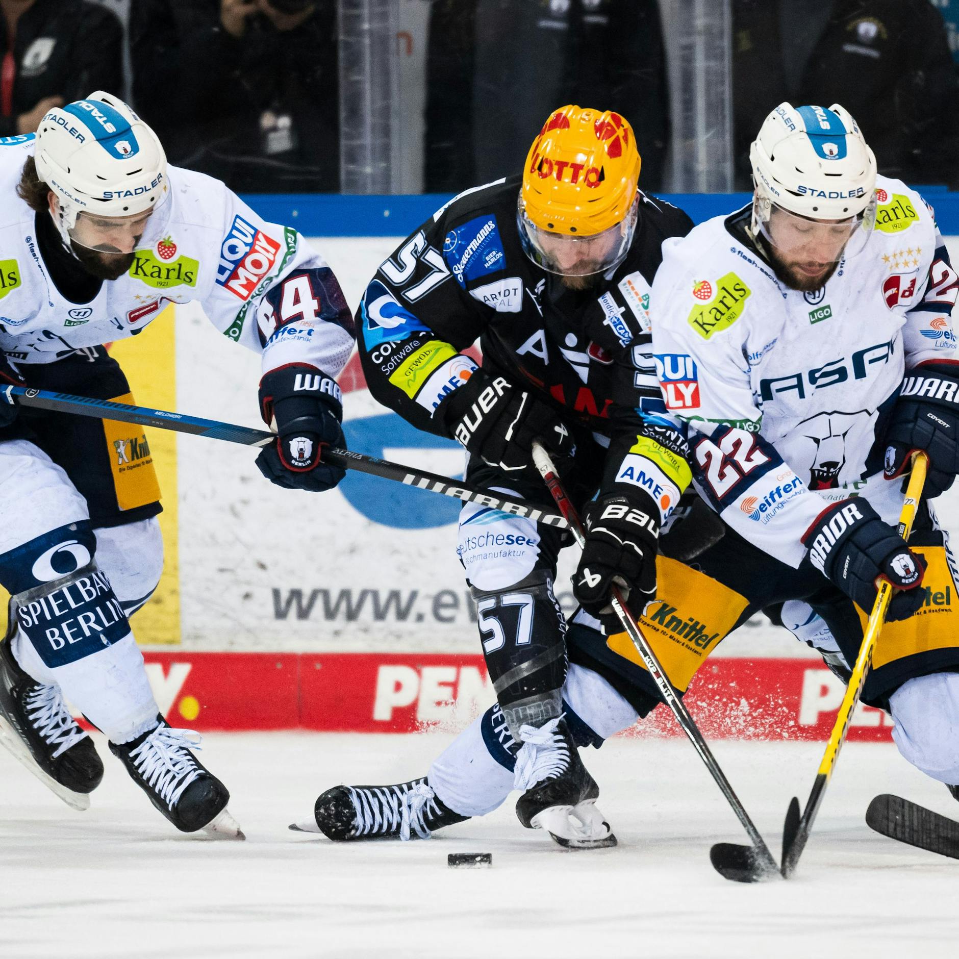 Image - Dauerbrenner: Vier Eisbären waren immer dabei!
